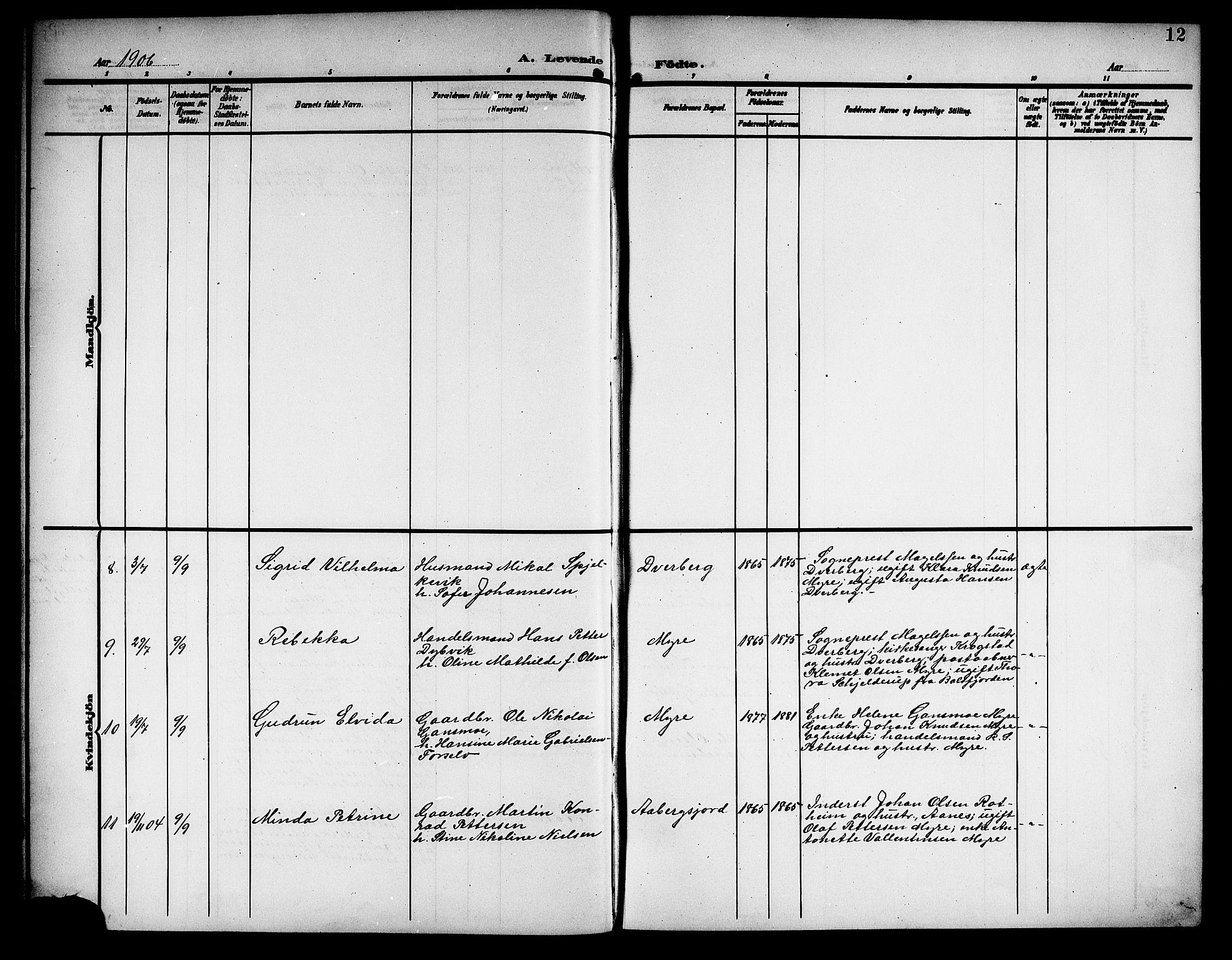 Ministerialprotokoller, klokkerbøker og fødselsregistre - Nordland, AV/SAT-A-1459/897/L1414: Parish register (copy) no. 897C04, 1904-1915, p. 12