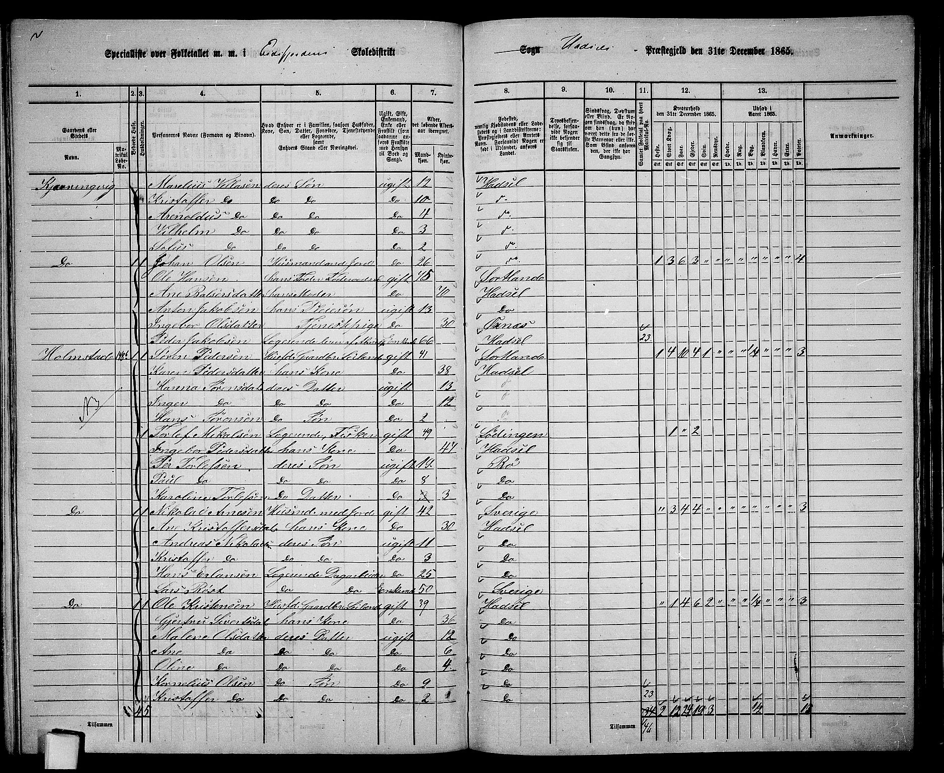 RA, 1865 census for Hadsel, 1865, p. 119