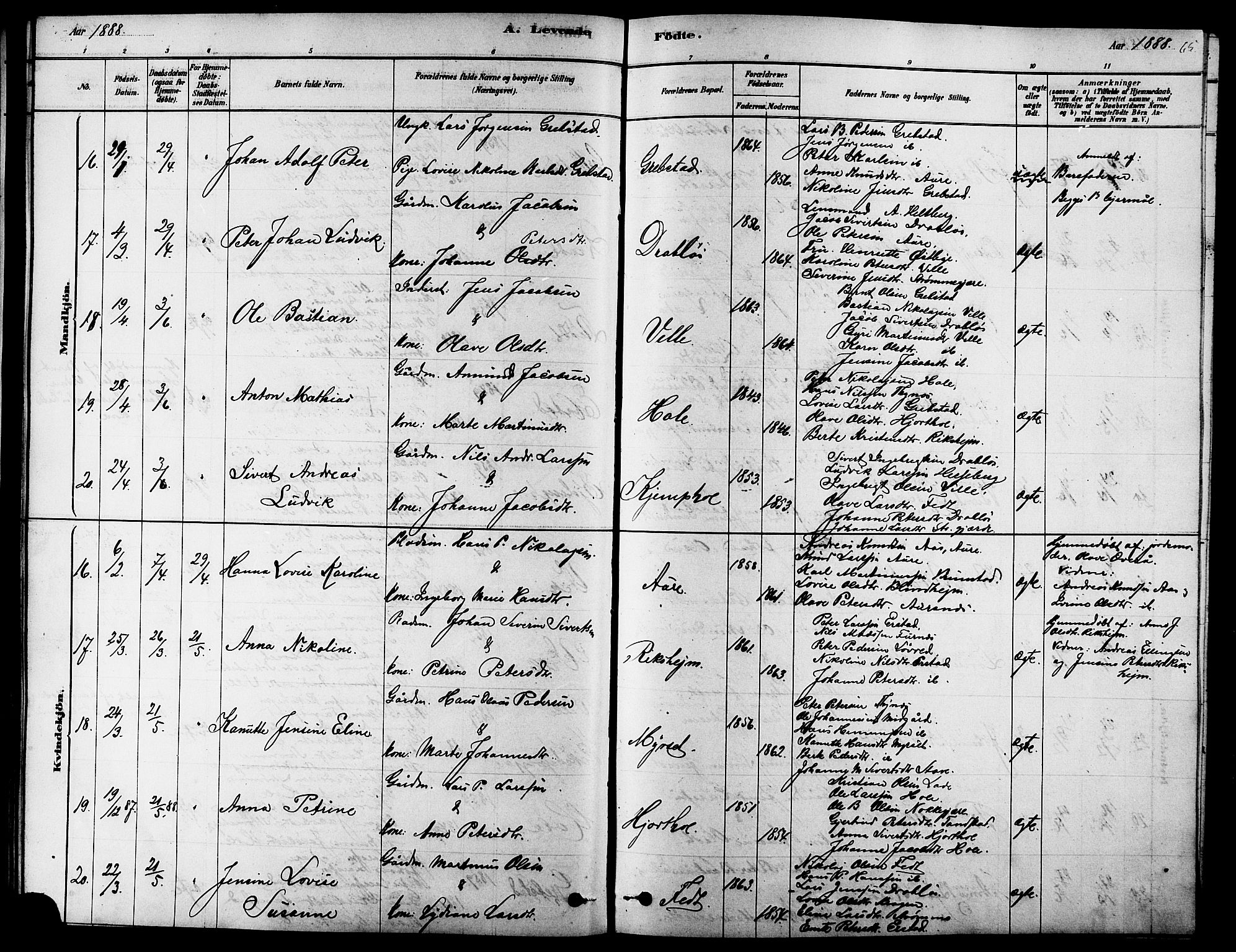 Ministerialprotokoller, klokkerbøker og fødselsregistre - Møre og Romsdal, AV/SAT-A-1454/523/L0339: Parish register (copy) no. 523C02, 1878-1891, p. 65