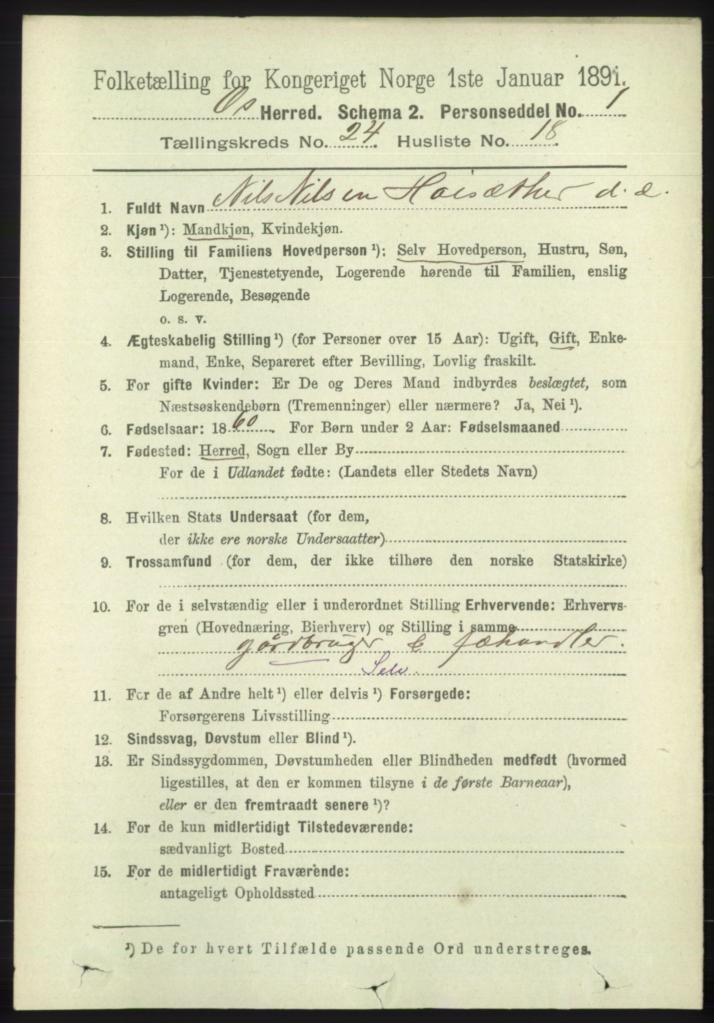 RA, 1891 census for 1243 Os, 1891, p. 5324