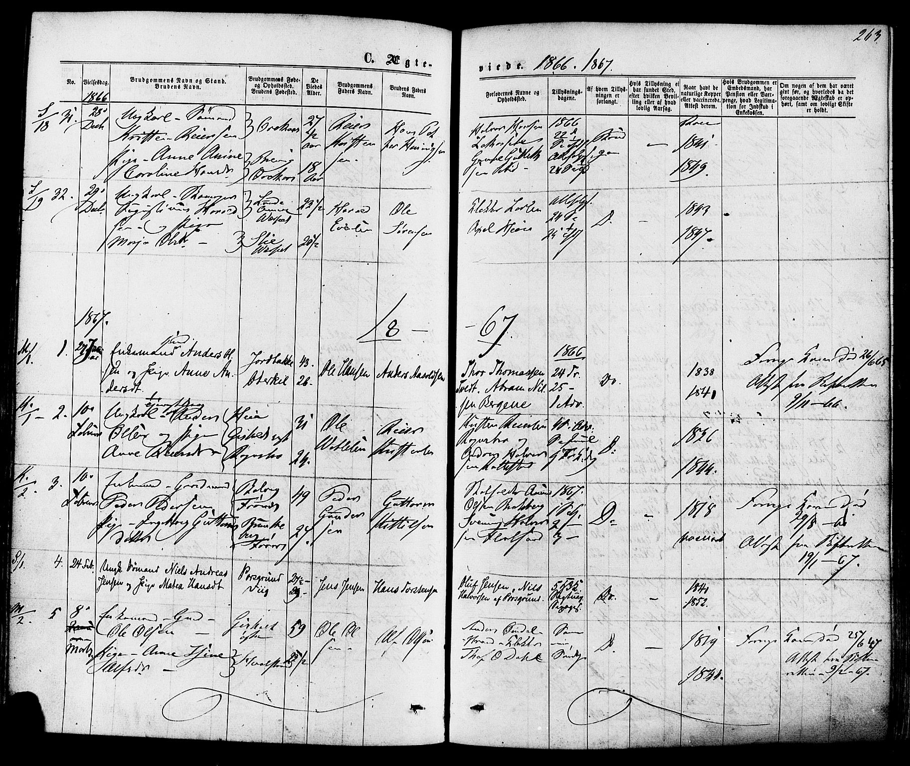 Solum kirkebøker, SAKO/A-306/F/Fa/L0008: Parish register (official) no. I 8, 1865-1876, p. 263