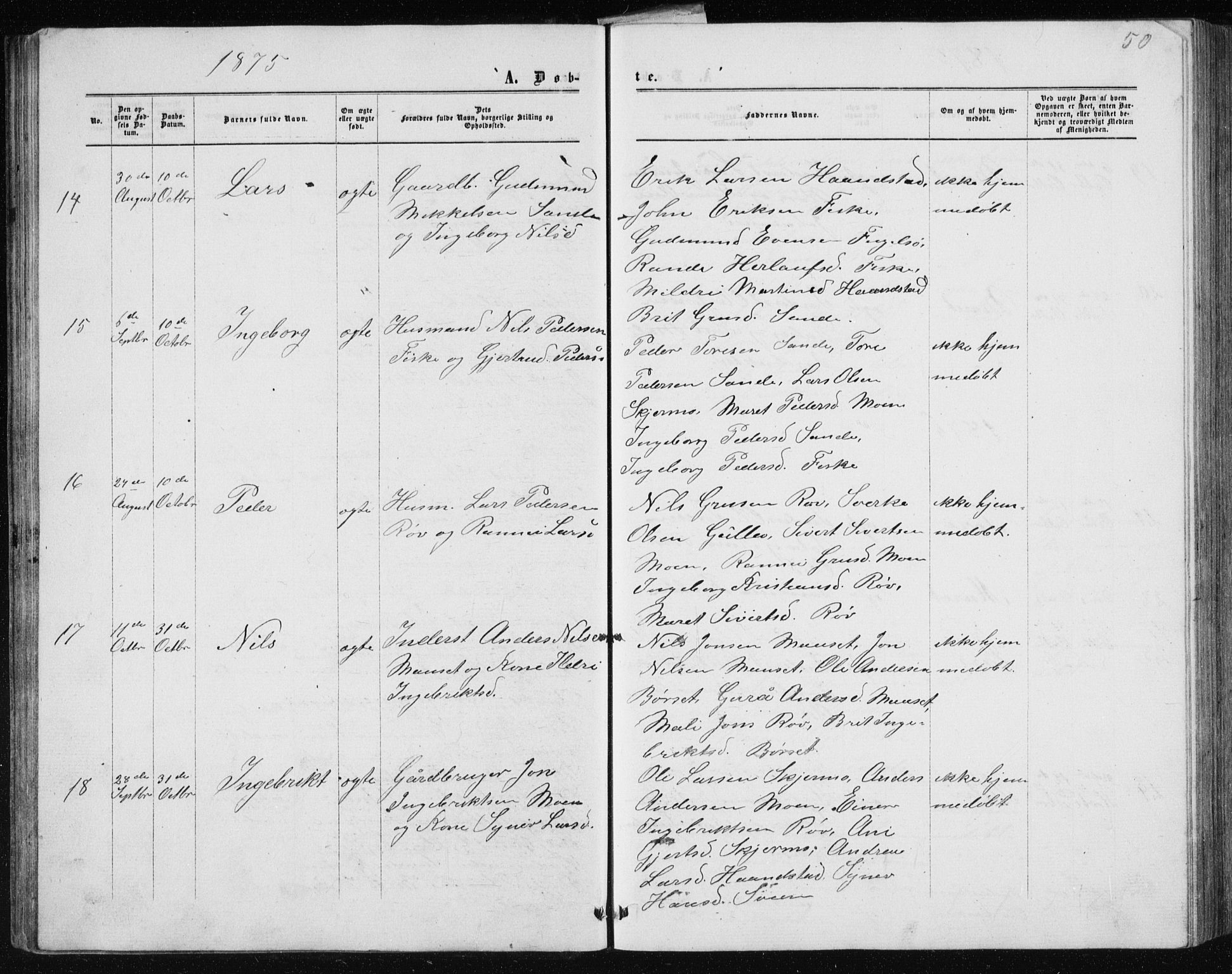 Ministerialprotokoller, klokkerbøker og fødselsregistre - Møre og Romsdal, AV/SAT-A-1454/597/L1064: Parish register (copy) no. 597C01, 1866-1898, p. 50