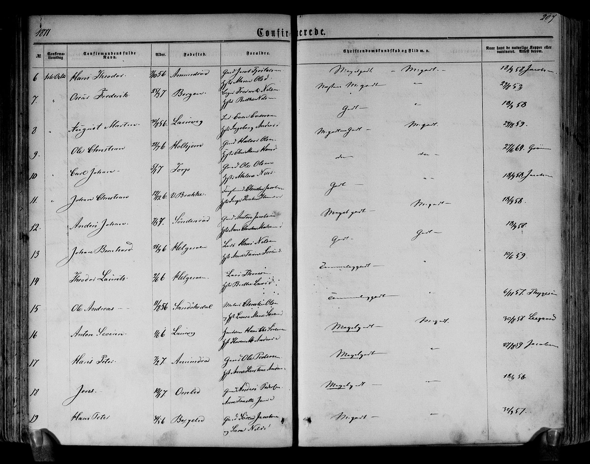 Brunlanes kirkebøker, AV/SAKO-A-342/F/Fa/L0005: Parish register (official) no. I 5, 1862-1877, p. 207