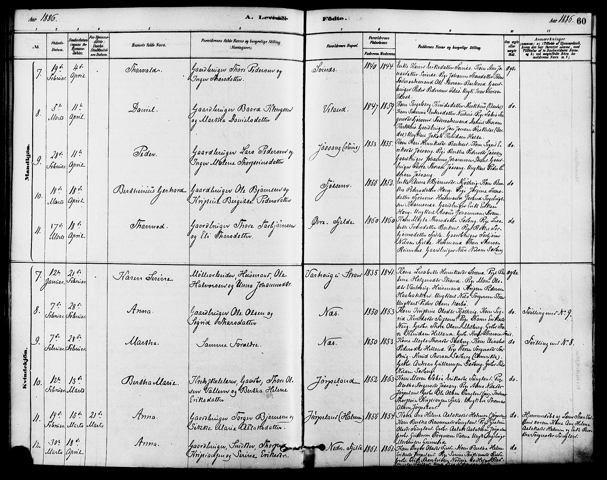 Strand sokneprestkontor, SAST/A-101828/H/Ha/Haa/L0009: Parish register (official) no. A 9, 1877-1908, p. 60