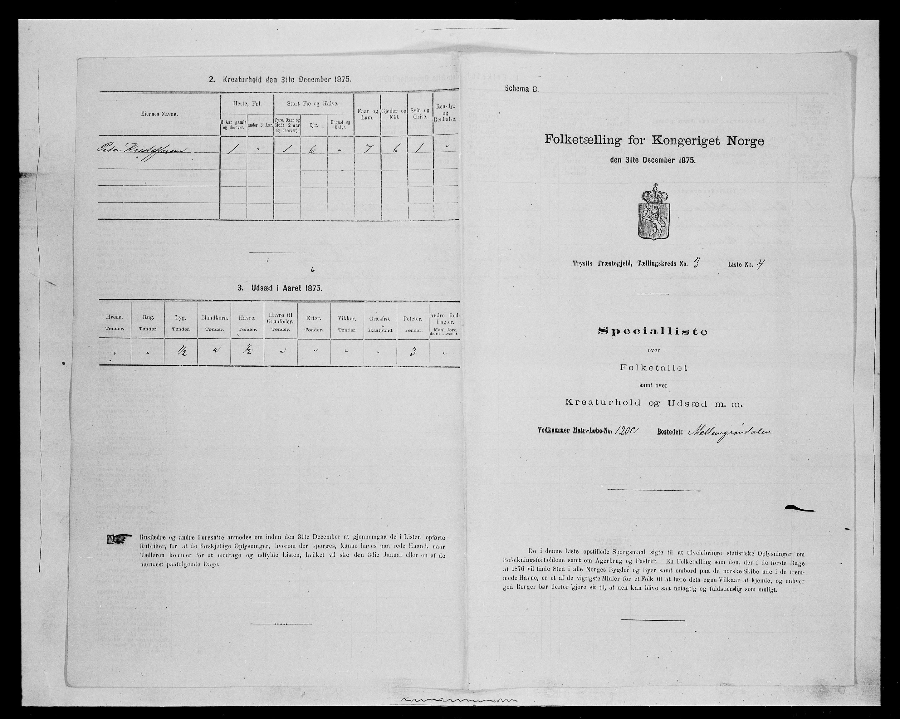 SAH, 1875 census for 0428P Trysil, 1875, p. 410