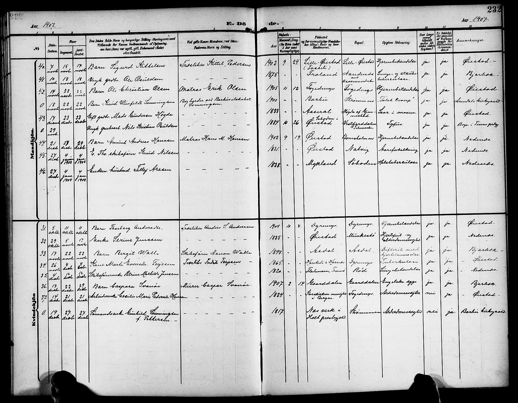 Øyestad sokneprestkontor, AV/SAK-1111-0049/F/Fb/L0011: Parish register (copy) no. B 11, 1906-1918, p. 232