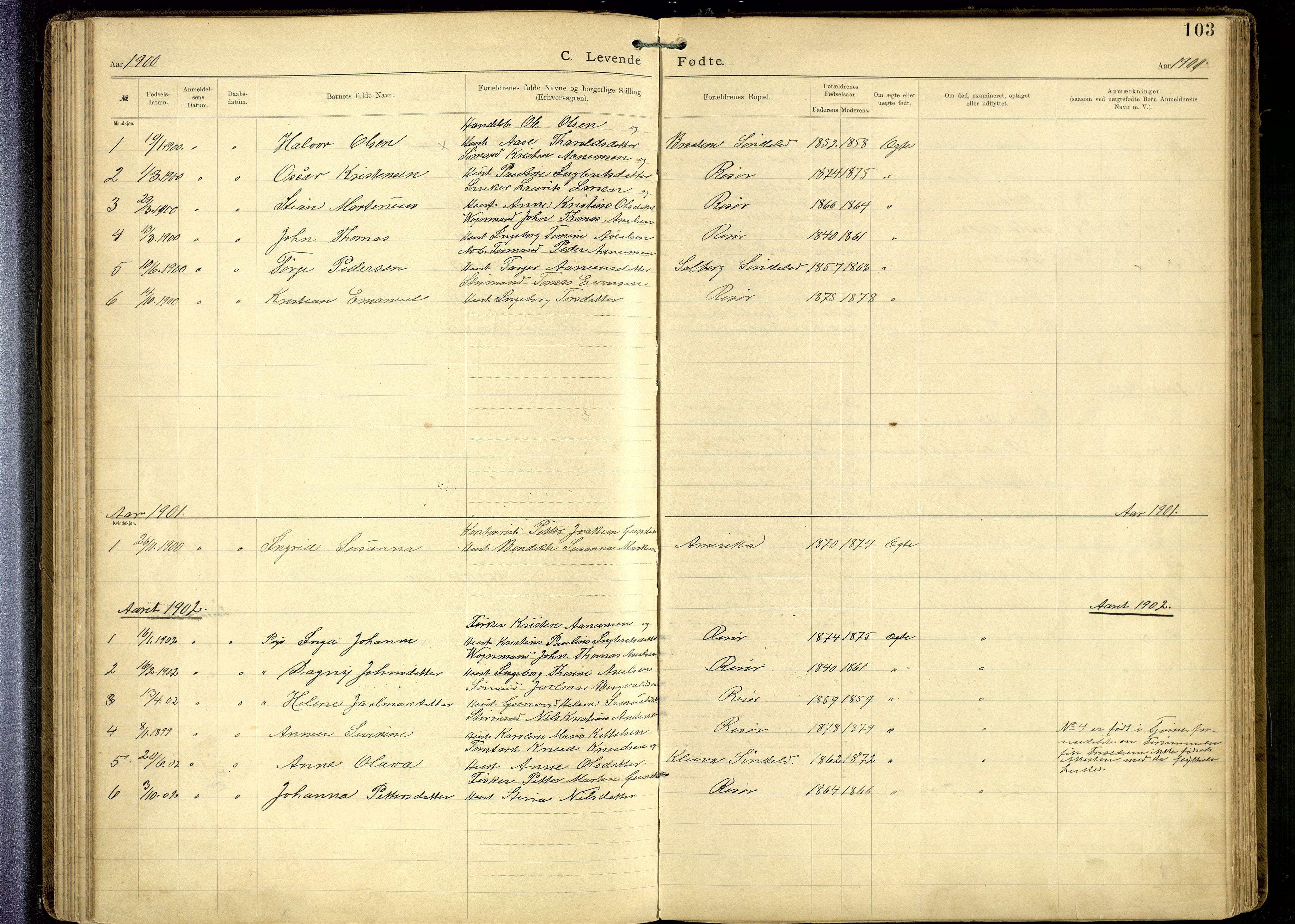 Den evangelisk-lutherske frimenighet, Risør, SAK/1292-0007/F/Fa/L0002: Dissenter register no. F 18, 1892-1954, p. 103