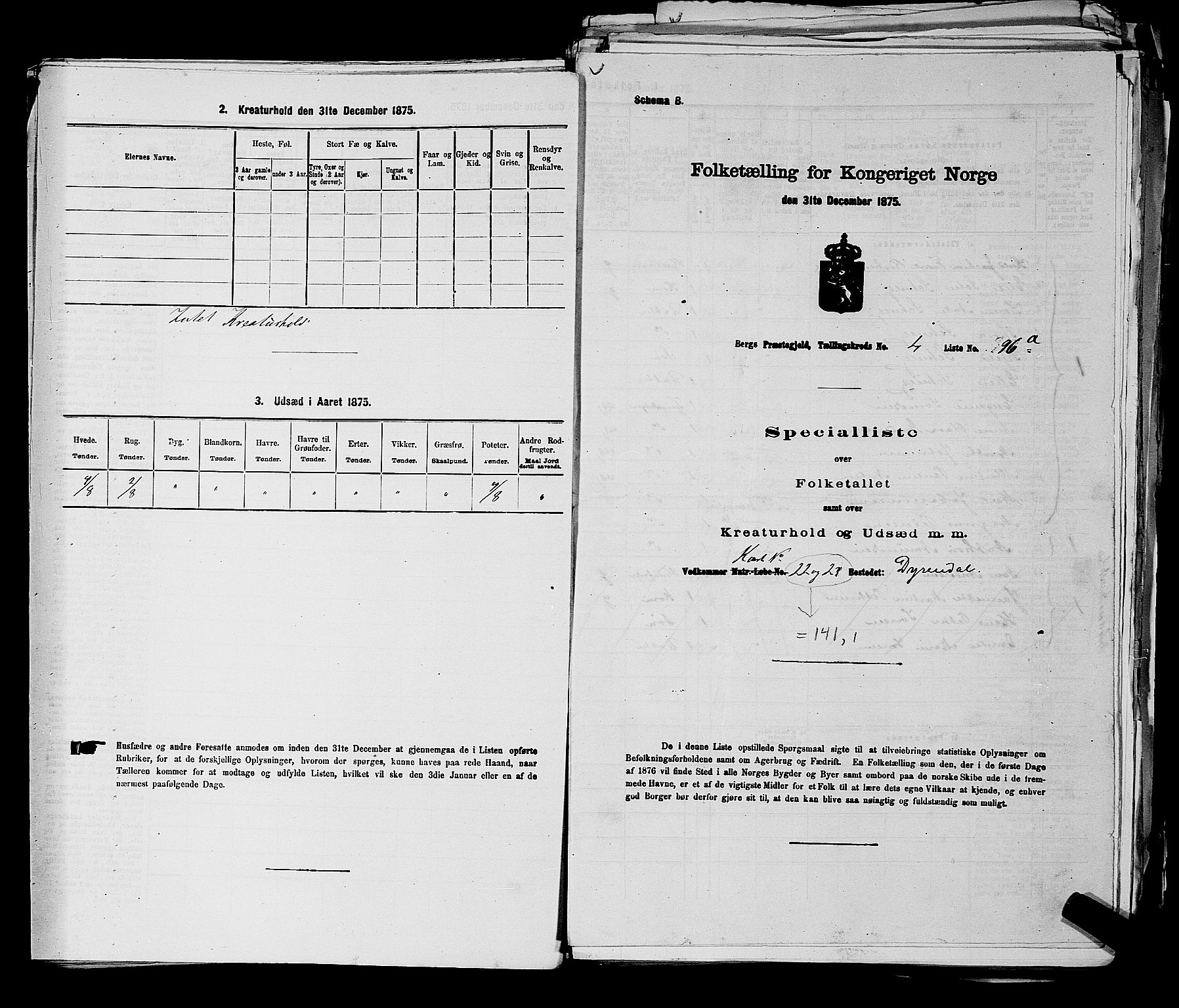 RA, 1875 census for 0116P Berg, 1875, p. 507