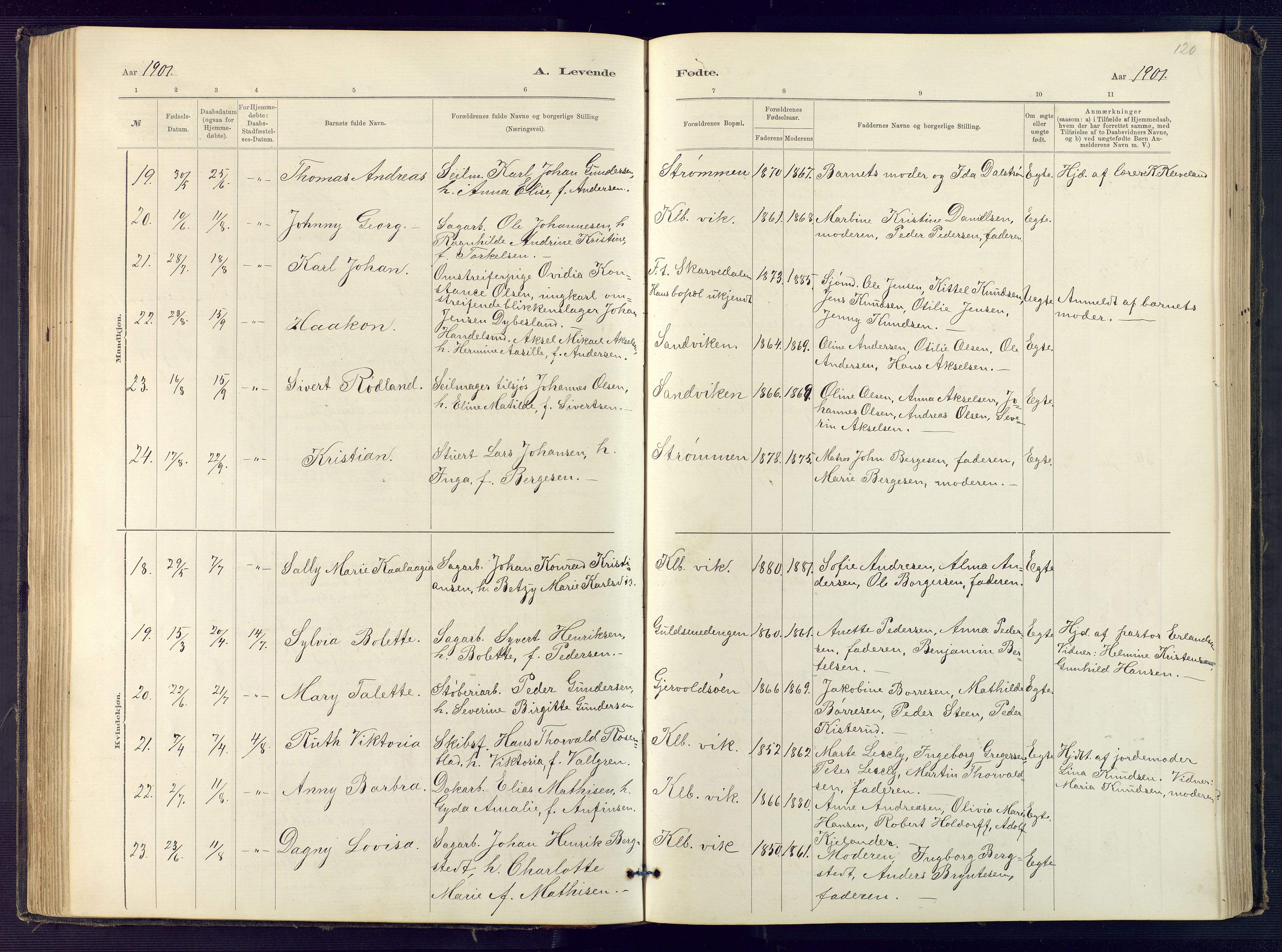 Hisøy sokneprestkontor, SAK/1111-0020/F/Fb/L0003: Parish register (copy) no. B 3, 1885-1905, p. 120