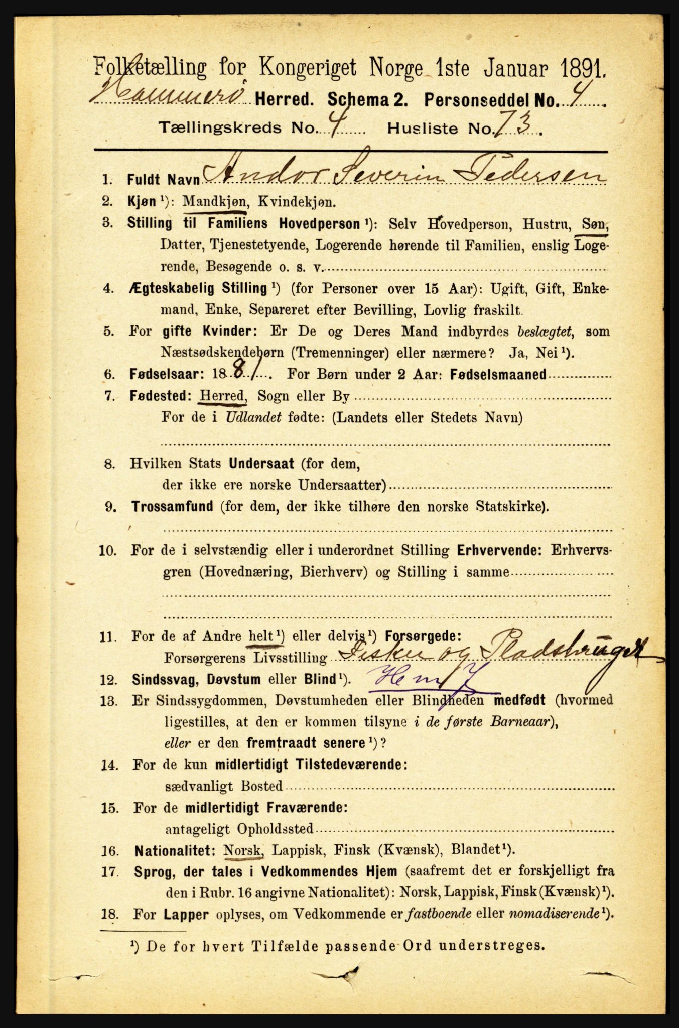 RA, 1891 census for 1849 Hamarøy, 1891, p. 2403