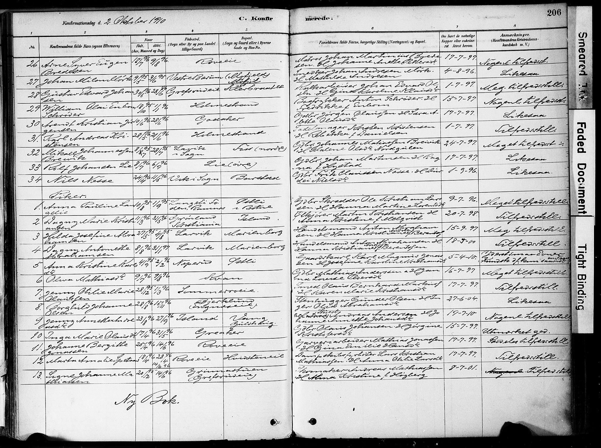 Botne kirkebøker, AV/SAKO-A-340/F/Fa/L0007: Parish register (official) no. I 7, 1878-1910, p. 206