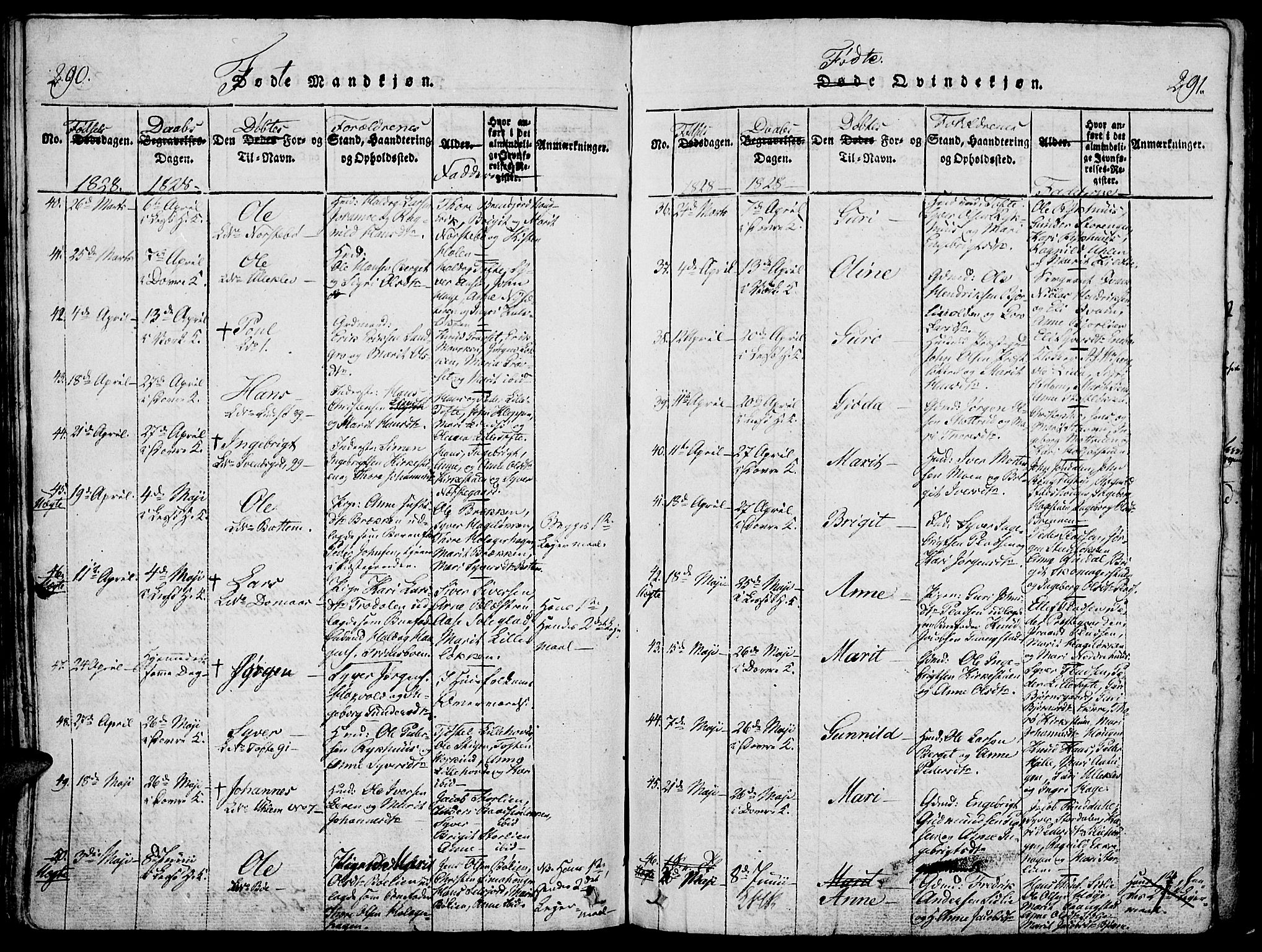 Lesja prestekontor, SAH/PREST-068/H/Ha/Haa/L0004: Parish register (official) no. 4, 1820-1829, p. 290-291