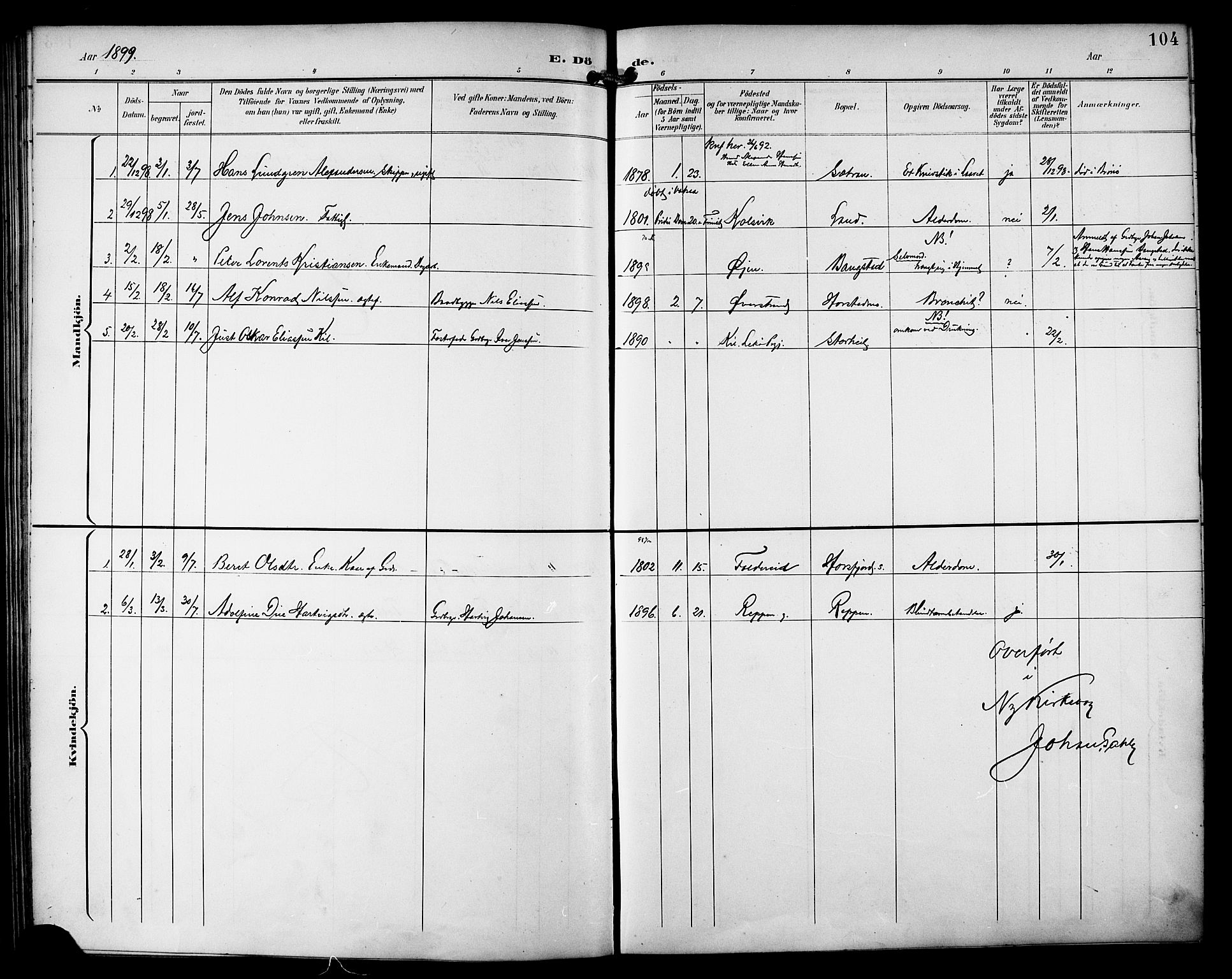 Ministerialprotokoller, klokkerbøker og fødselsregistre - Nordland, AV/SAT-A-1459/810/L0152: Parish register (official) no. 810A11, 1895-1899, p. 104