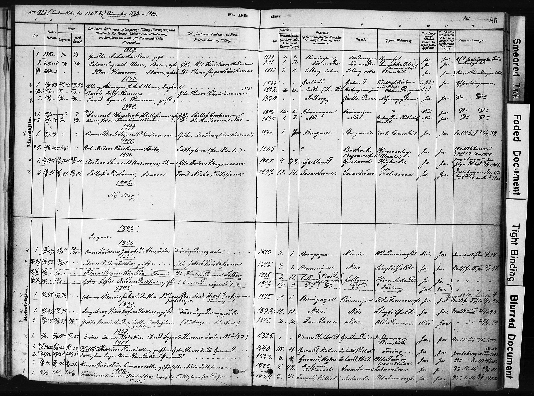 Botne kirkebøker, AV/SAKO-A-340/F/Fb/L0001: Parish register (official) no. II 1, 1878-1902, p. 85