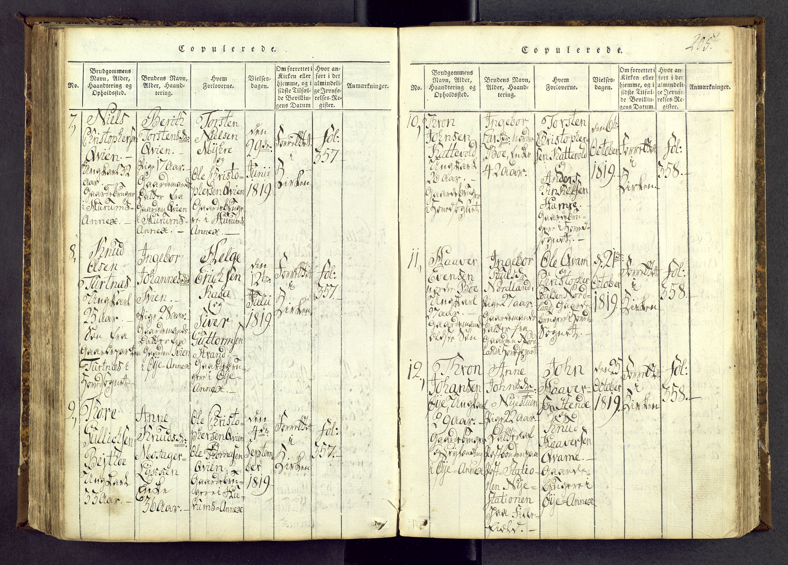 Vang prestekontor, Valdres, SAH/PREST-140/H/Ha/L0004: Parish register (official) no. 4, 1814-1831, p. 205