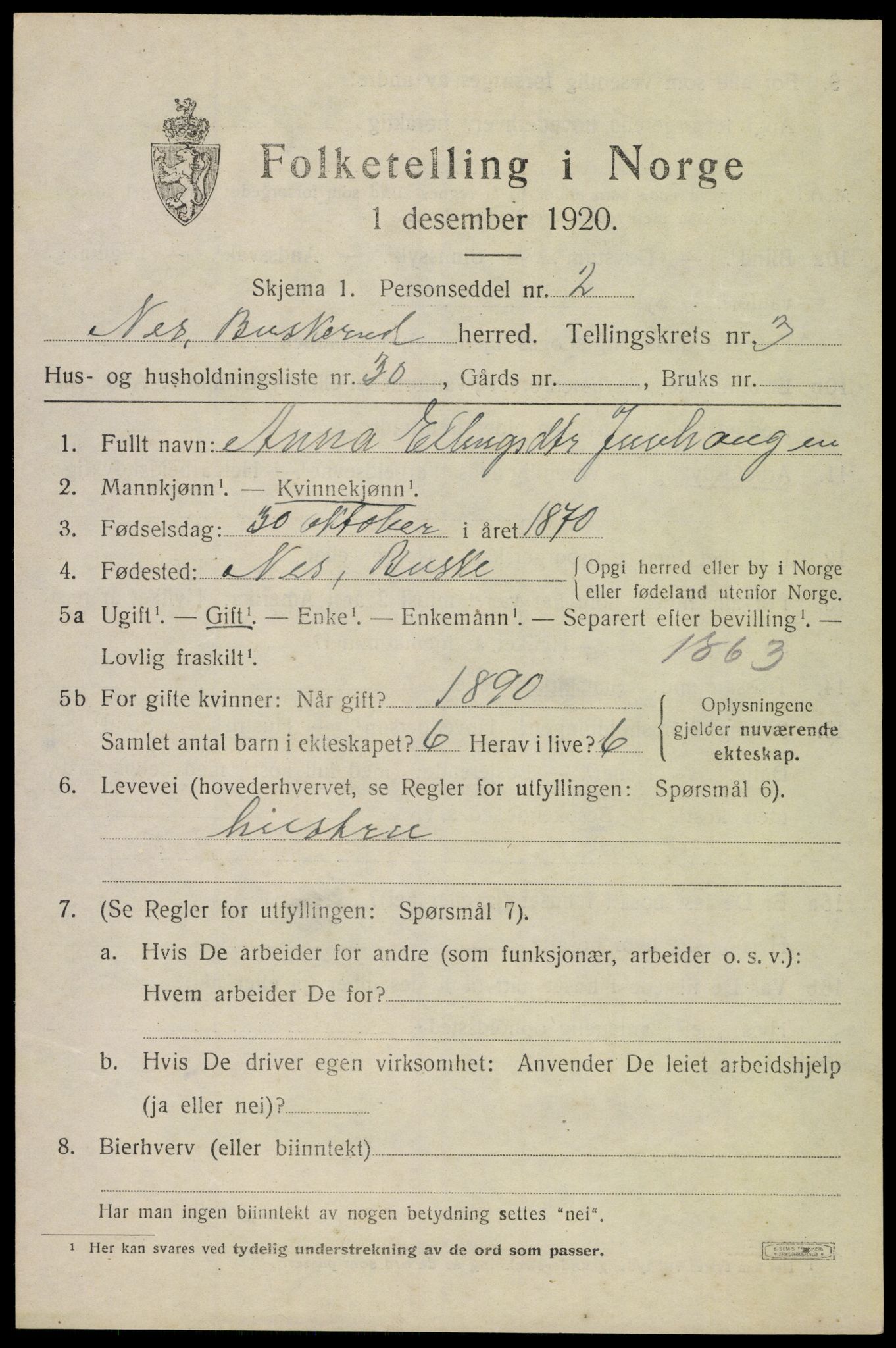 SAKO, 1920 census for Nes (Buskerud), 1920, p. 1902