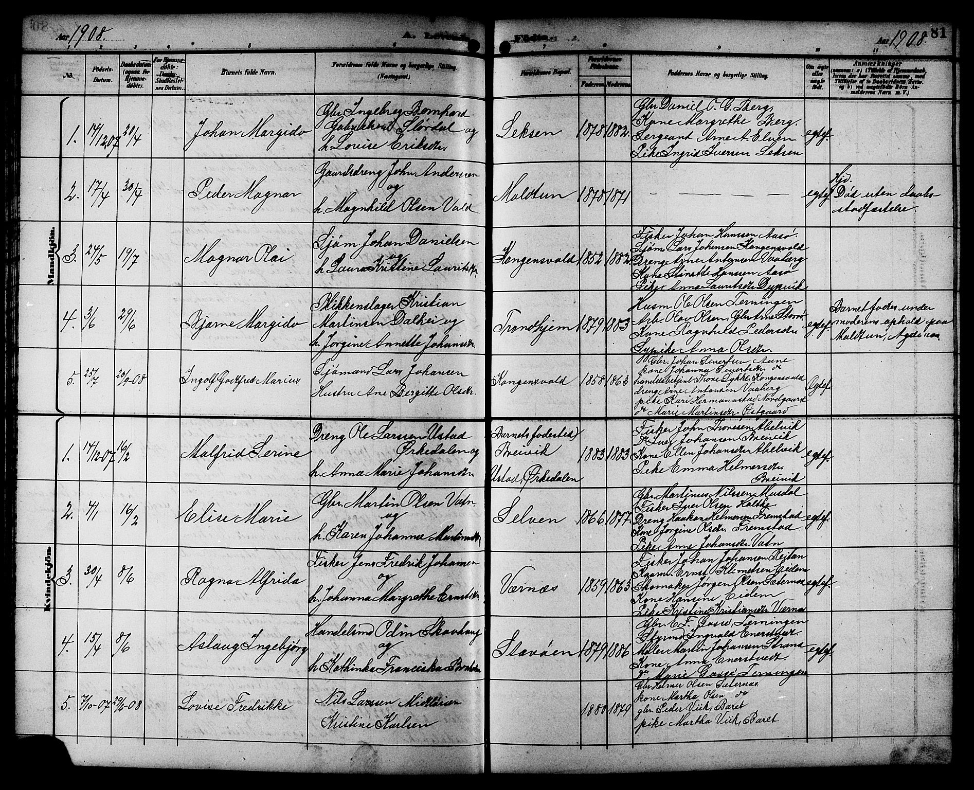 Ministerialprotokoller, klokkerbøker og fødselsregistre - Sør-Trøndelag, SAT/A-1456/662/L0757: Parish register (copy) no. 662C02, 1892-1918, p. 81