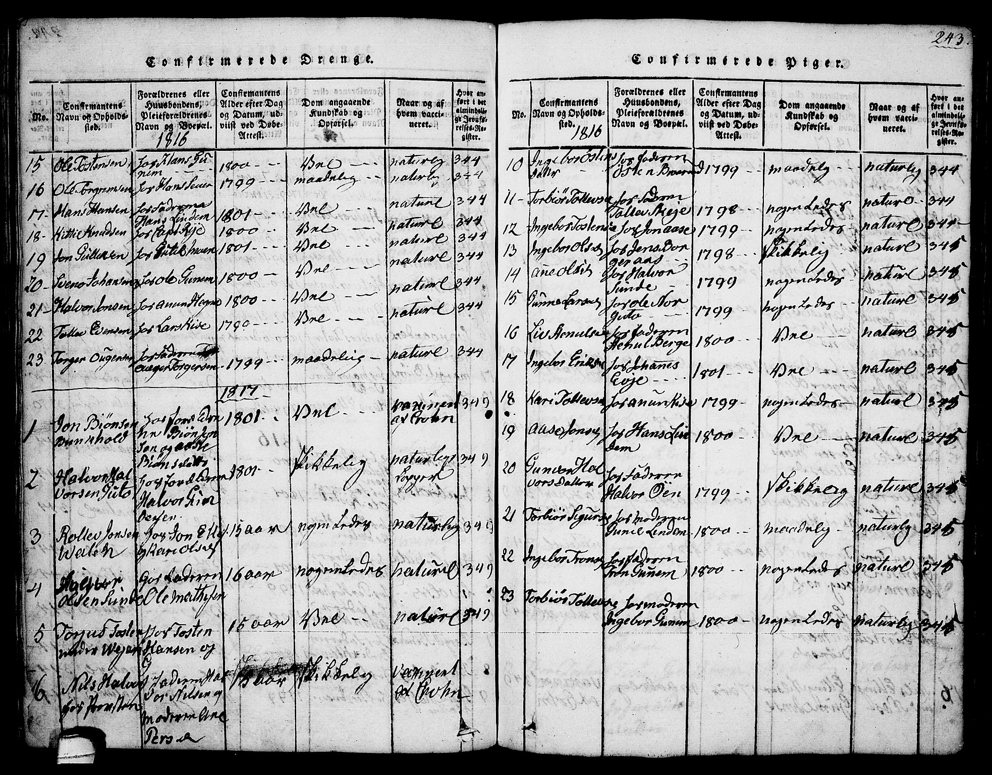 Sauherad kirkebøker, SAKO/A-298/G/Ga/L0001: Parish register (copy) no. I 1, 1815-1827, p. 243