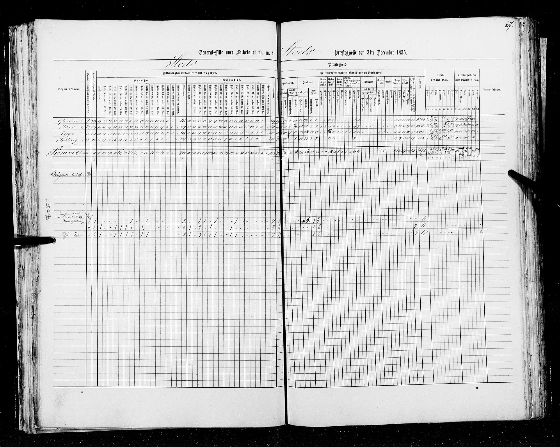 RA, Census 1855, vol. 6A: Nordre Trondhjem amt og Nordland amt, 1855, p. 67