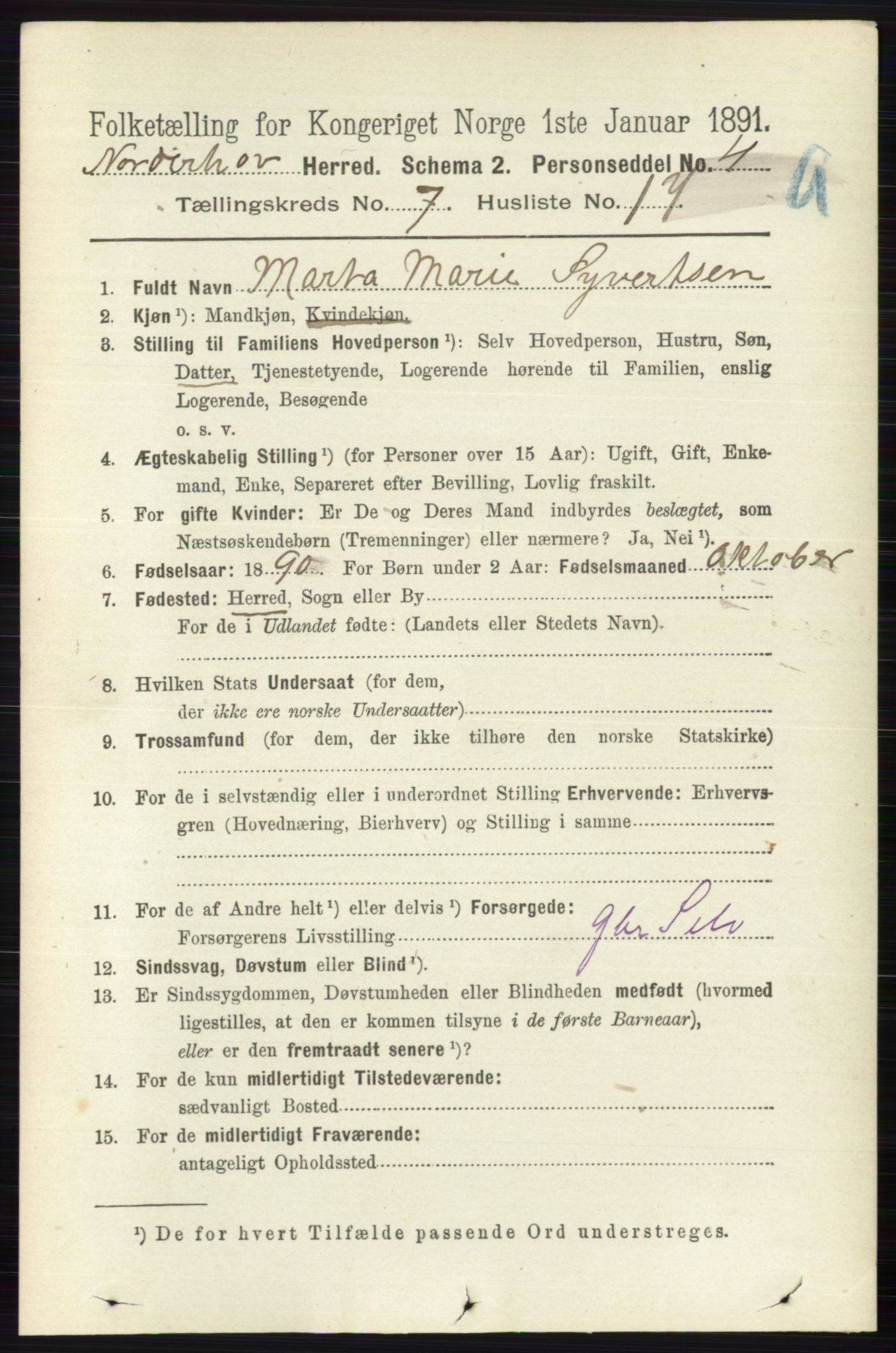 RA, 1891 census for 0613 Norderhov, 1891, p. 4569