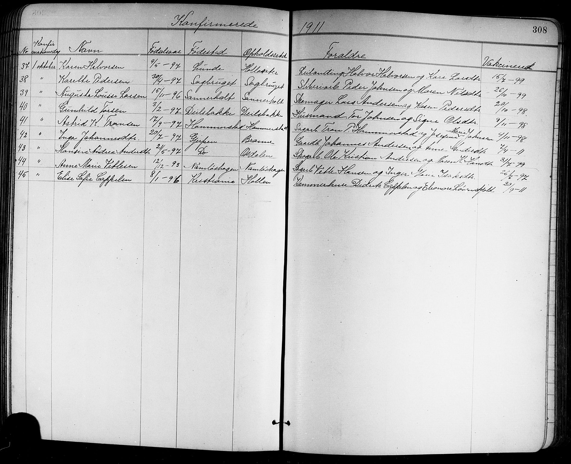 Holla kirkebøker, AV/SAKO-A-272/G/Ga/L0005: Parish register (copy) no. I 5, 1891-1917, p. 308