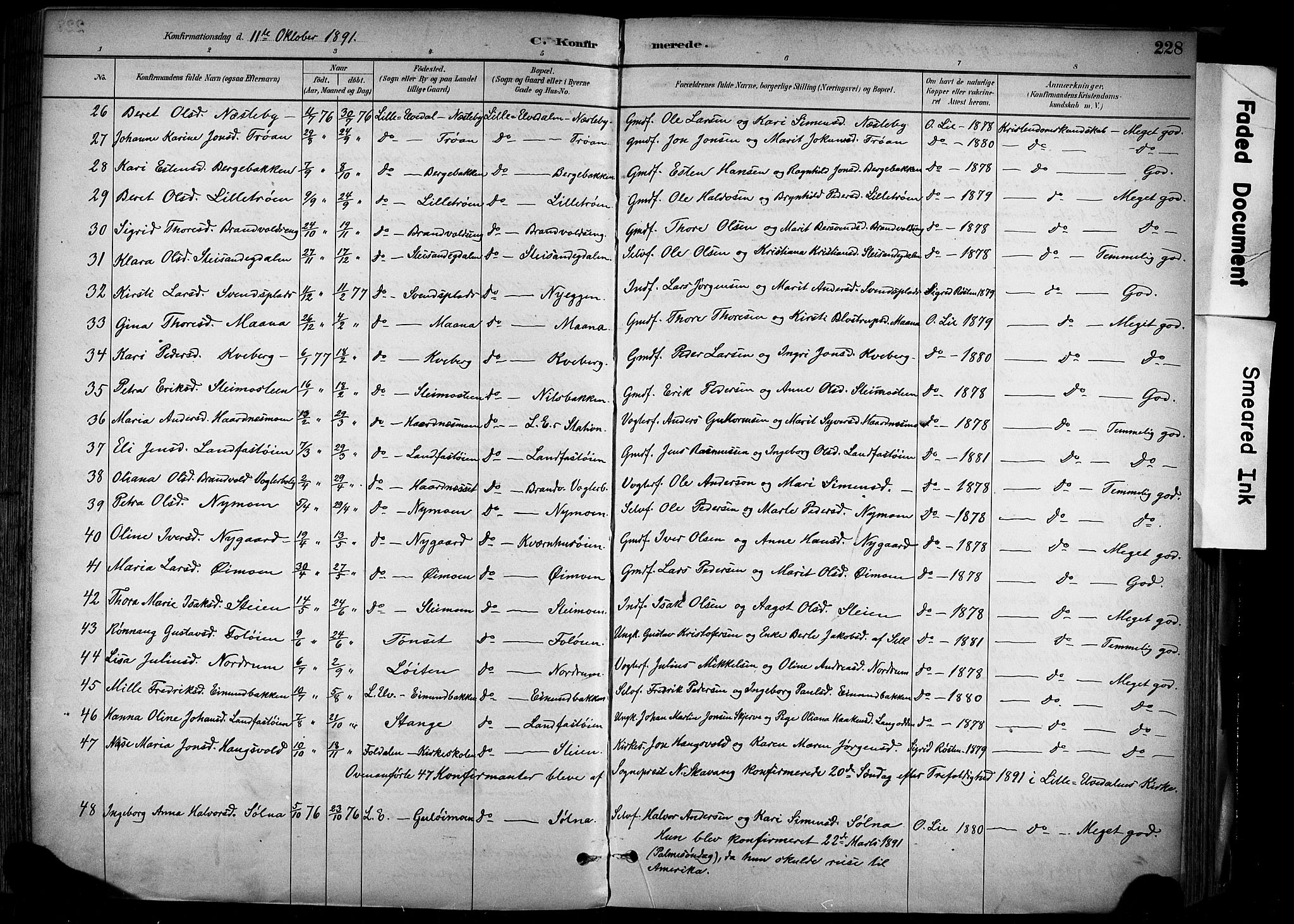 Alvdal prestekontor, AV/SAH-PREST-060/H/Ha/Haa/L0002: Parish register (official) no. 2, 1883-1906, p. 228