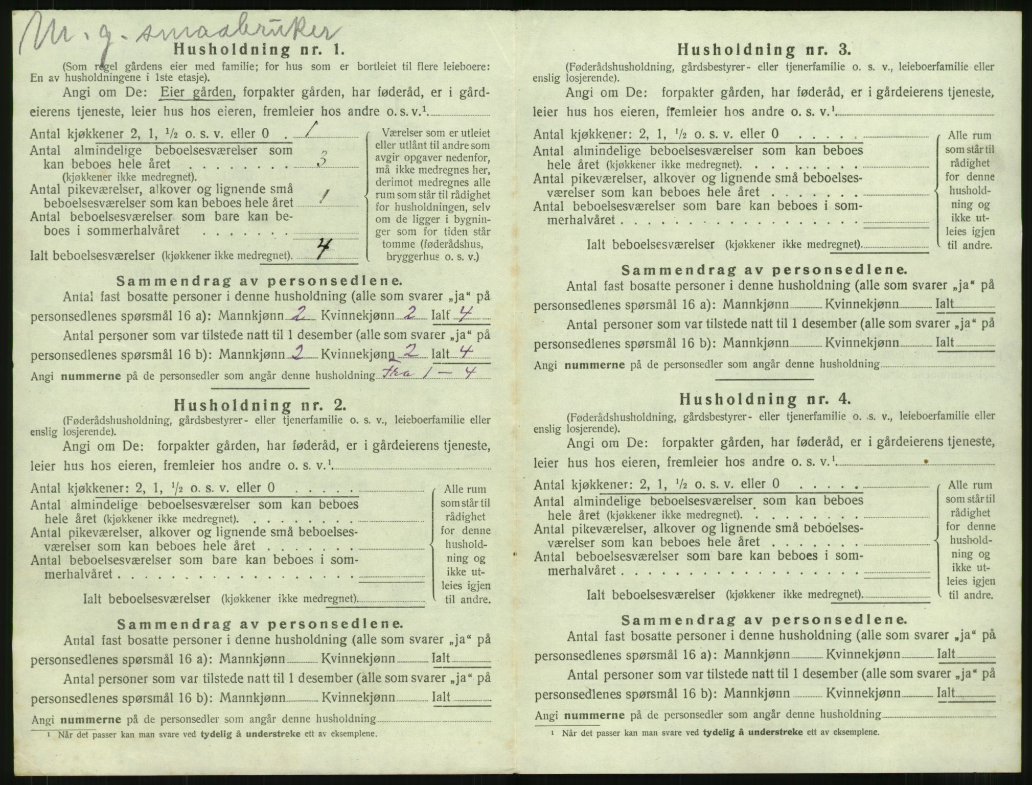 SAT, 1920 census for Vestnes, 1920, p. 1048