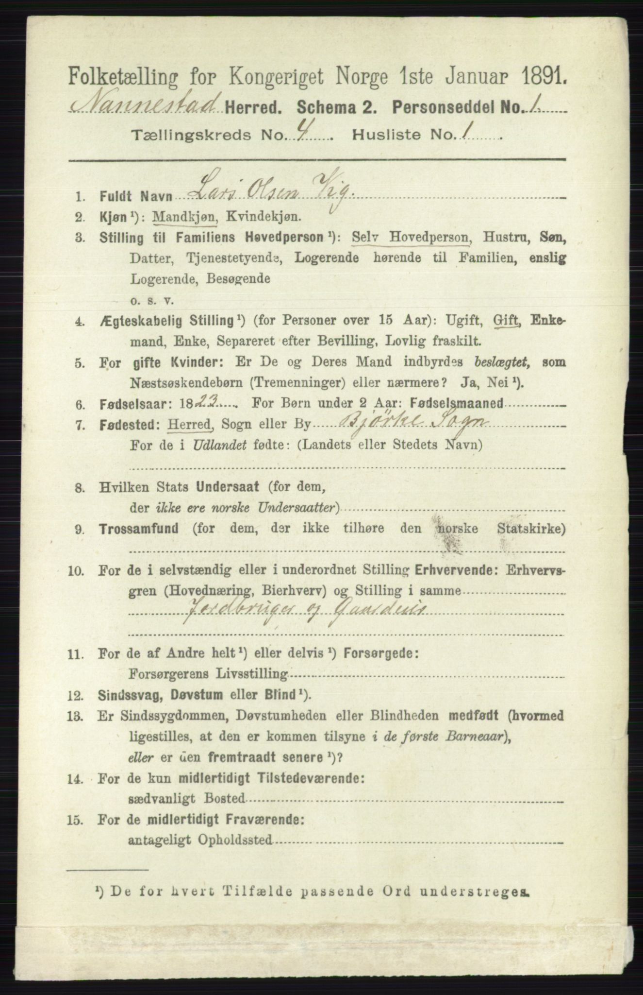 RA, 1891 census for 0238 Nannestad, 1891, p. 2058