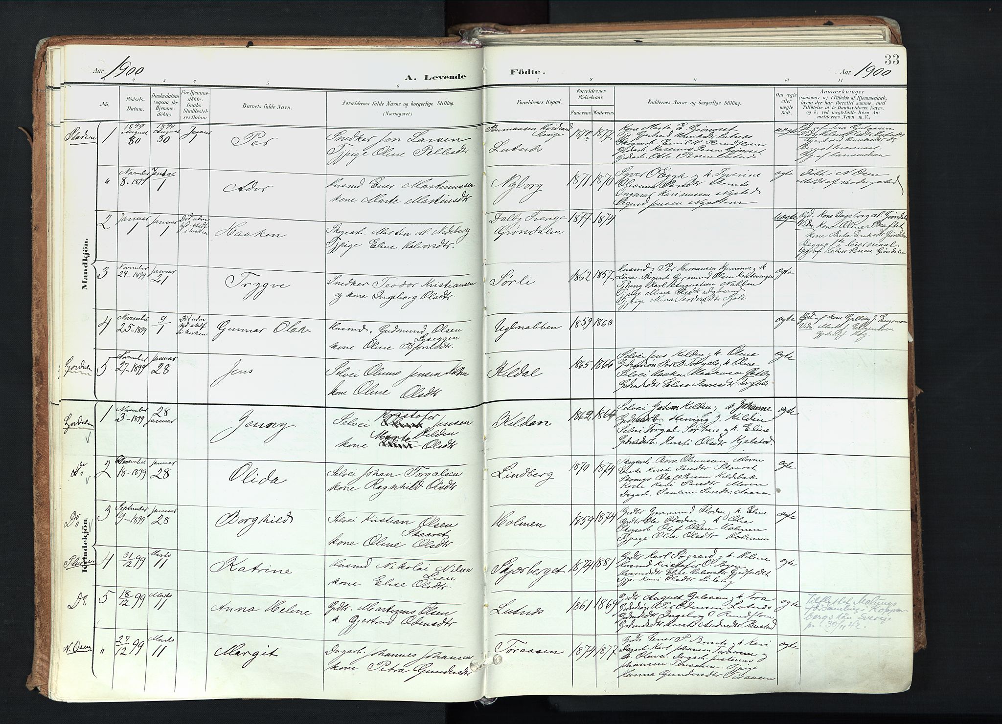 Trysil prestekontor, SAH/PREST-046/H/Ha/Haa/L0012: Parish register (official) no. 12, 1898-1917, p. 33