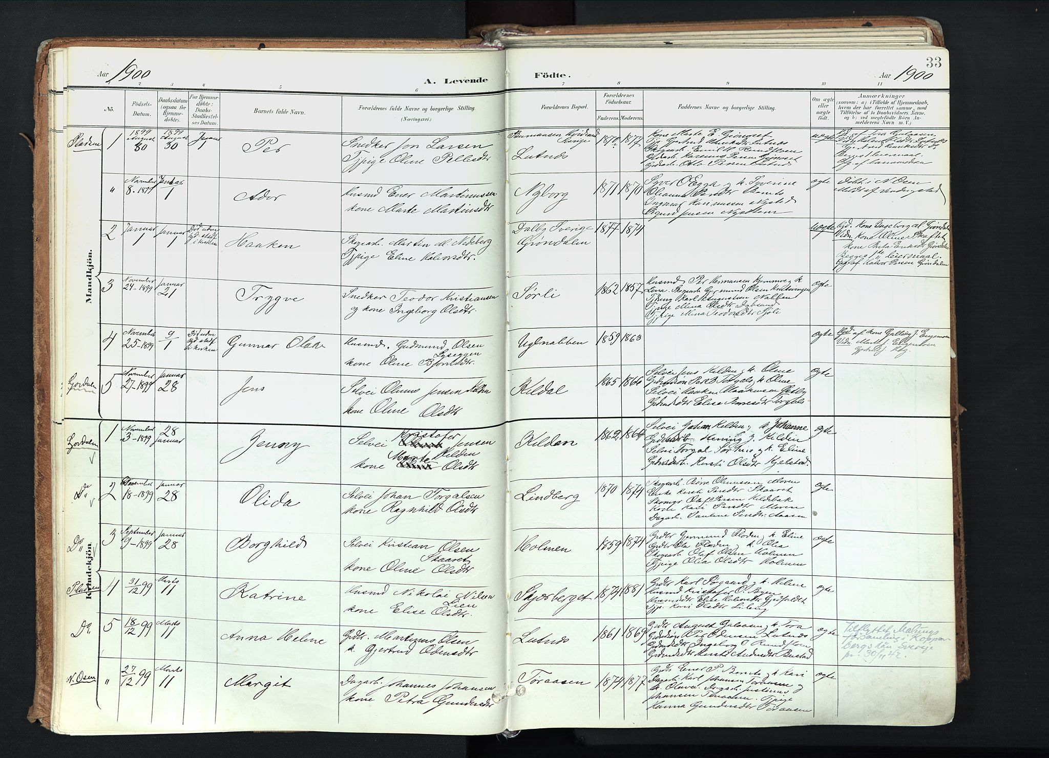 Trysil prestekontor, AV/SAH-PREST-046/H/Ha/Haa/L0012: Parish register (official) no. 12, 1898-1917, p. 33