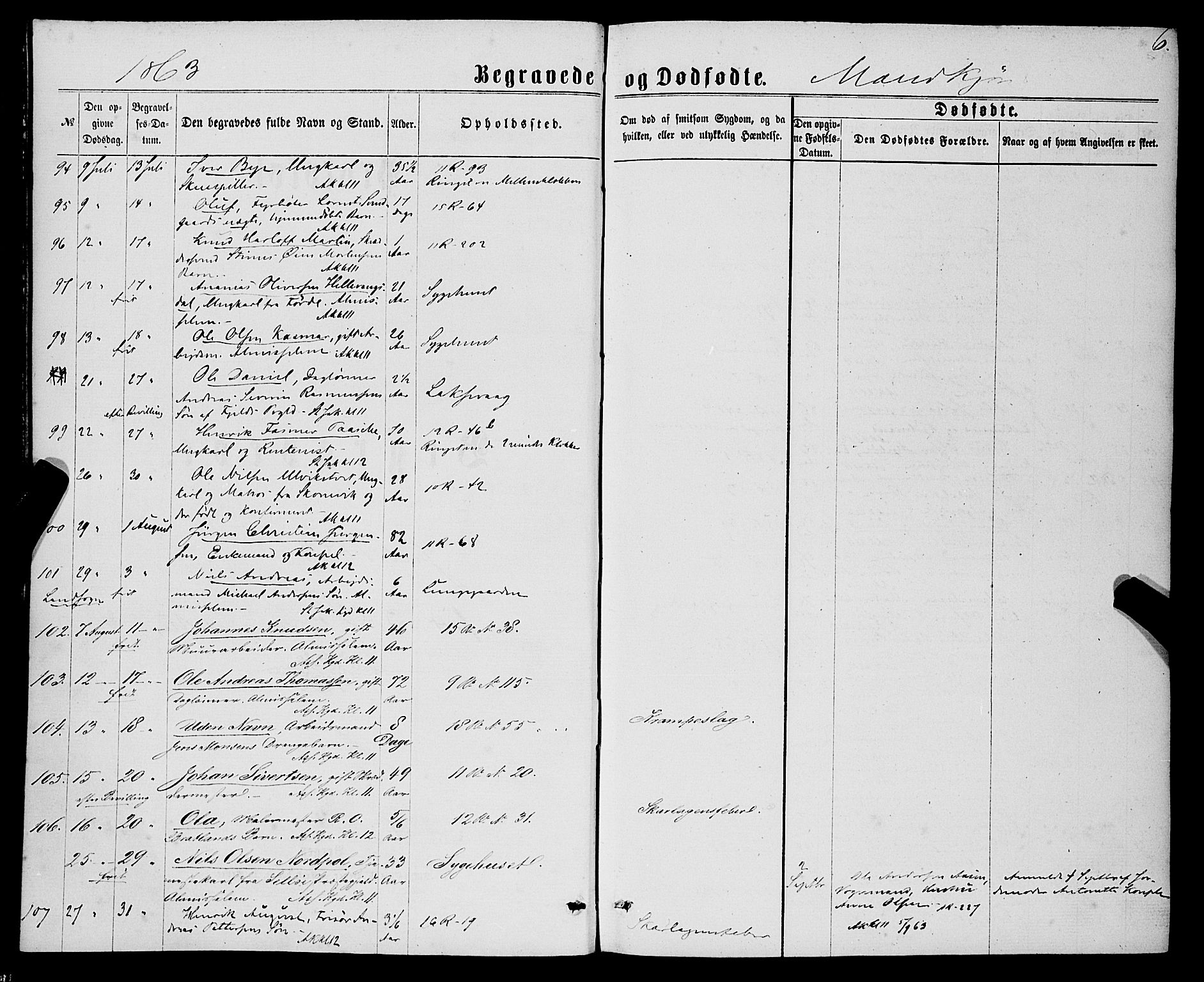 Domkirken sokneprestembete, SAB/A-74801/H/Haa/L0042: Parish register (official) no. E 3, 1863-1876, p. 6