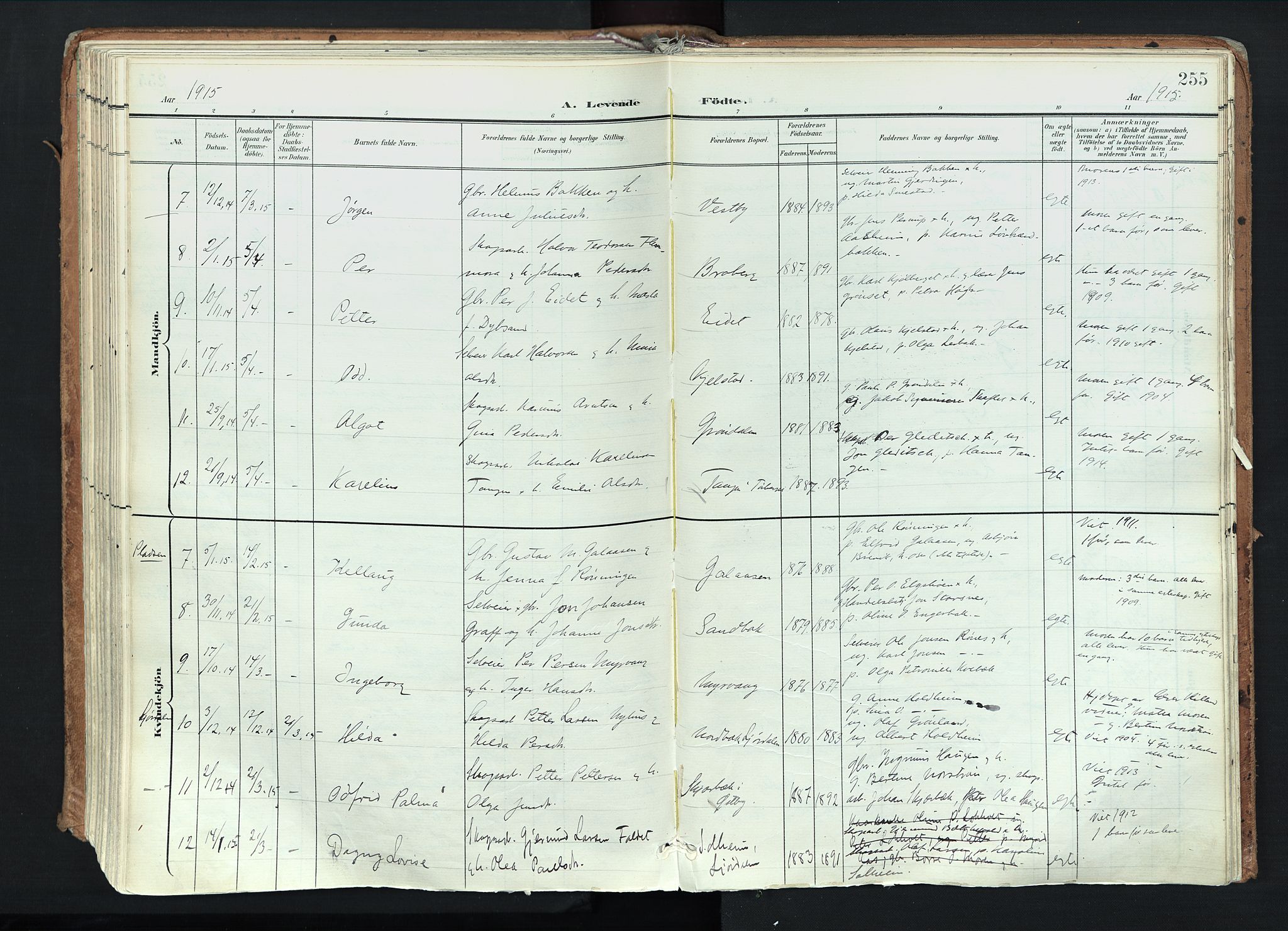 Trysil prestekontor, AV/SAH-PREST-046/H/Ha/Haa/L0012: Parish register (official) no. 12, 1898-1917, p. 255