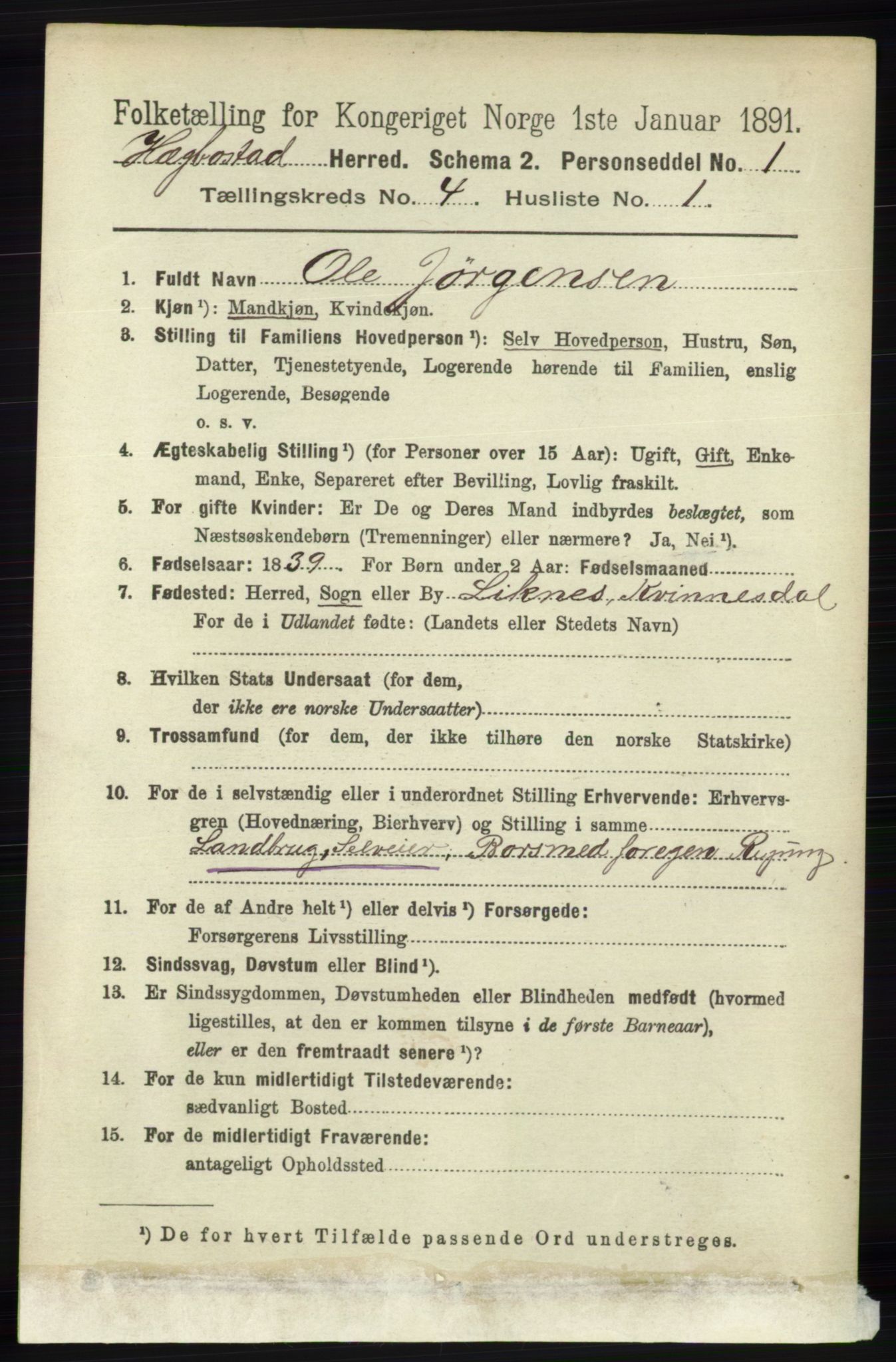 RA, 1891 census for 1034 Hægebostad, 1891, p. 1190