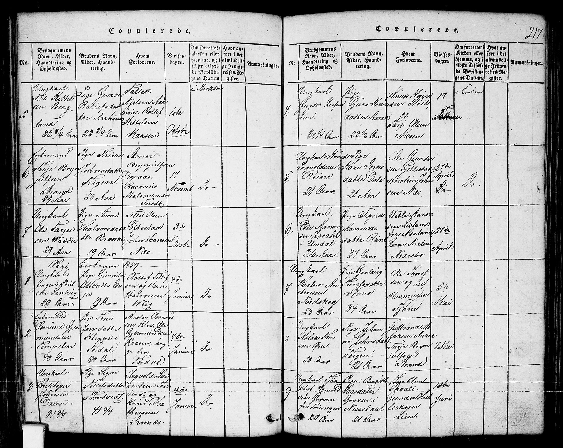 Nissedal kirkebøker, SAKO/A-288/G/Ga/L0001: Parish register (copy) no. I 1, 1814-1860, p. 217