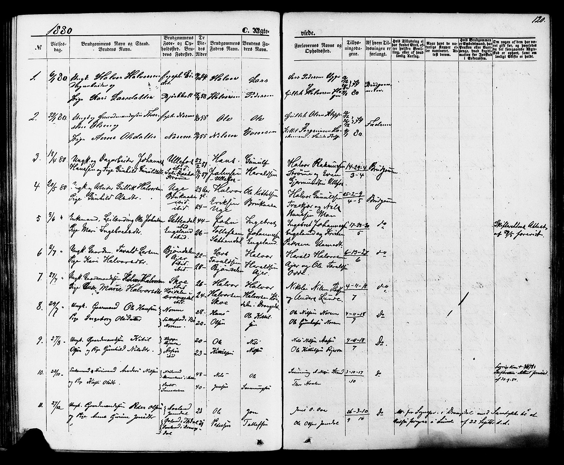 Lunde kirkebøker, AV/SAKO-A-282/F/Fa/L0001: Parish register (official) no. I 1, 1866-1883, p. 120