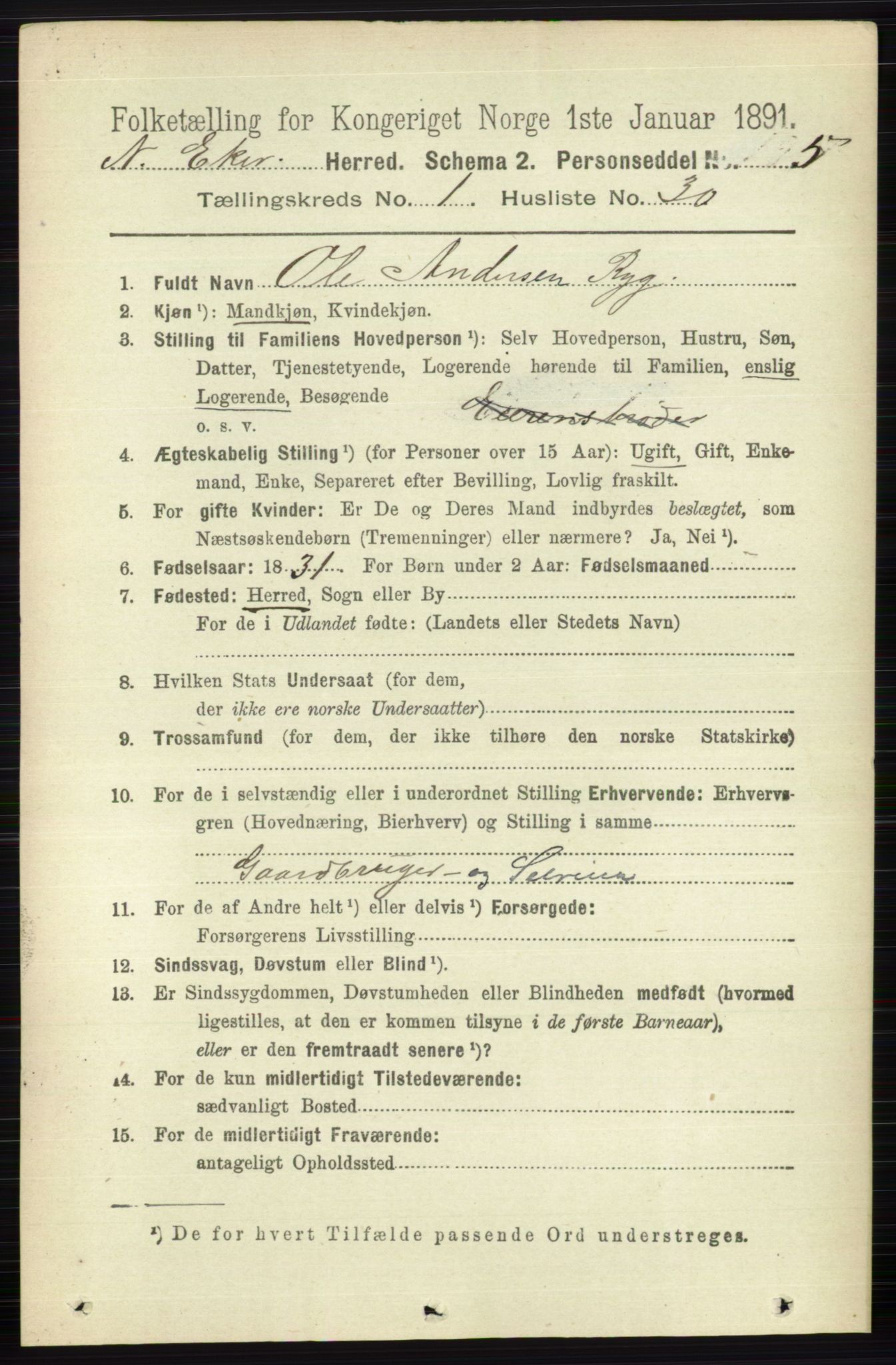 RA, 1891 census for 0625 Nedre Eiker, 1891, p. 246