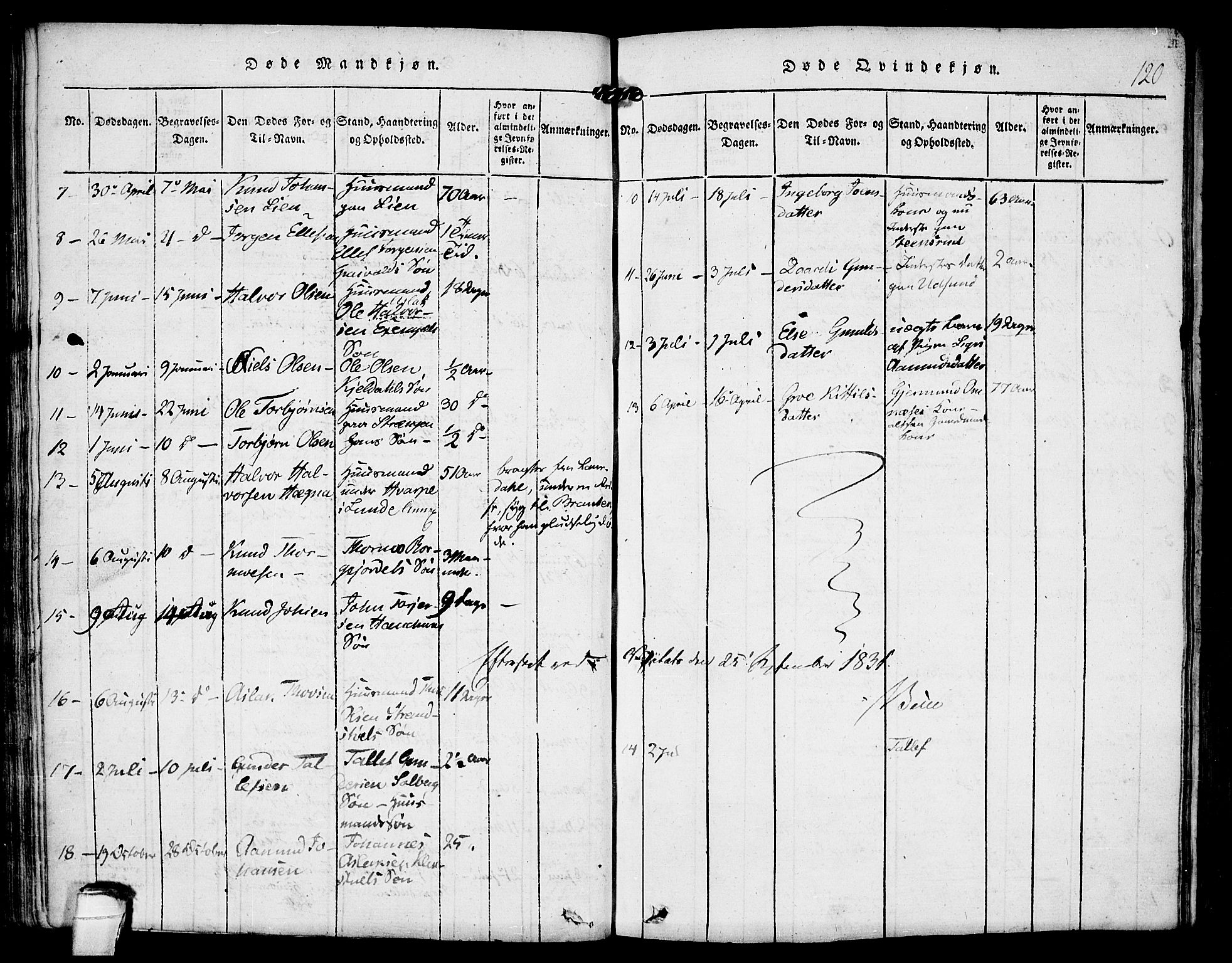 Kviteseid kirkebøker, SAKO/A-276/F/Fa/L0005: Parish register (official) no. I 5, 1815-1836, p. 120