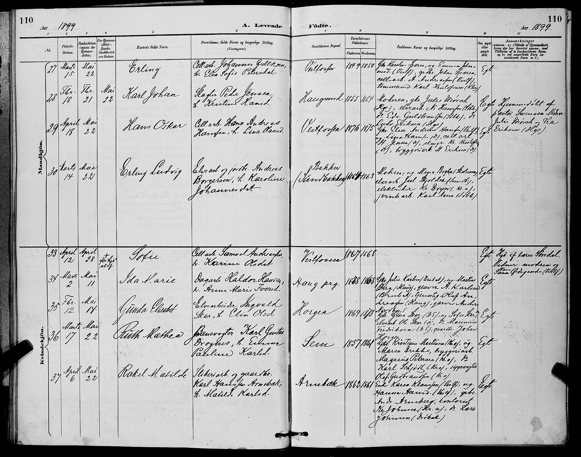 Eiker kirkebøker, AV/SAKO-A-4/G/Ga/L0007: Parish register (copy) no. I 7, 1893-1902, p. 110