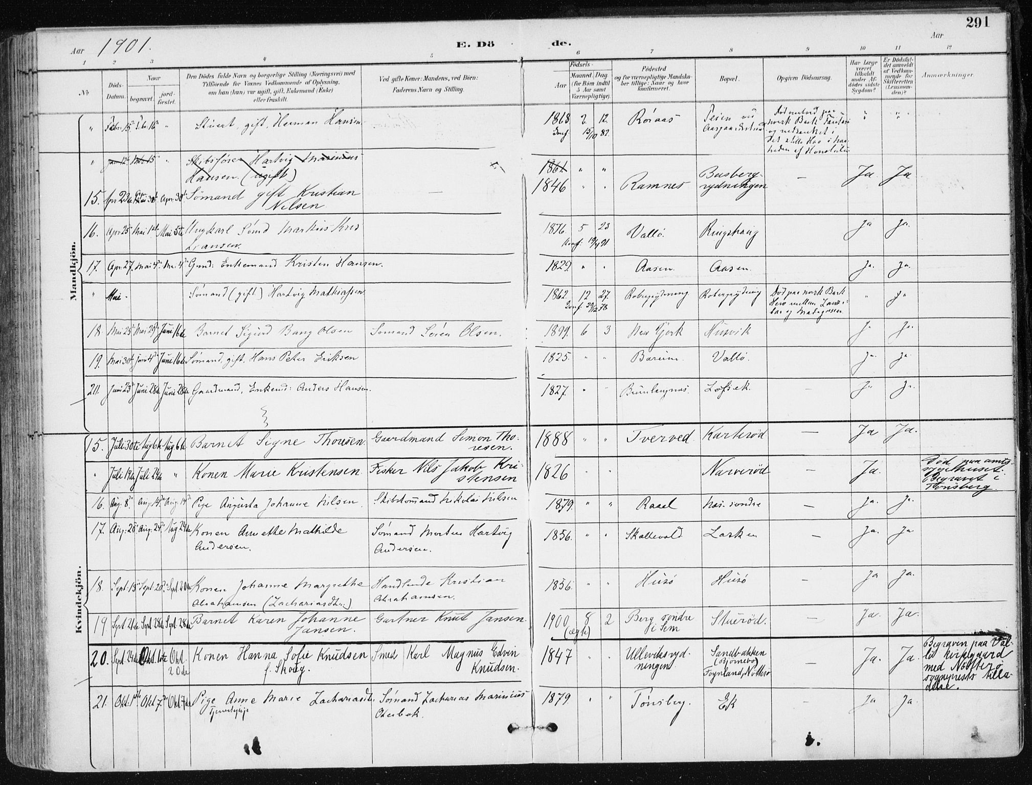 Sem kirkebøker, AV/SAKO-A-5/F/Fb/L0005: Parish register (official) no. II 5, 1892-1904, p. 291