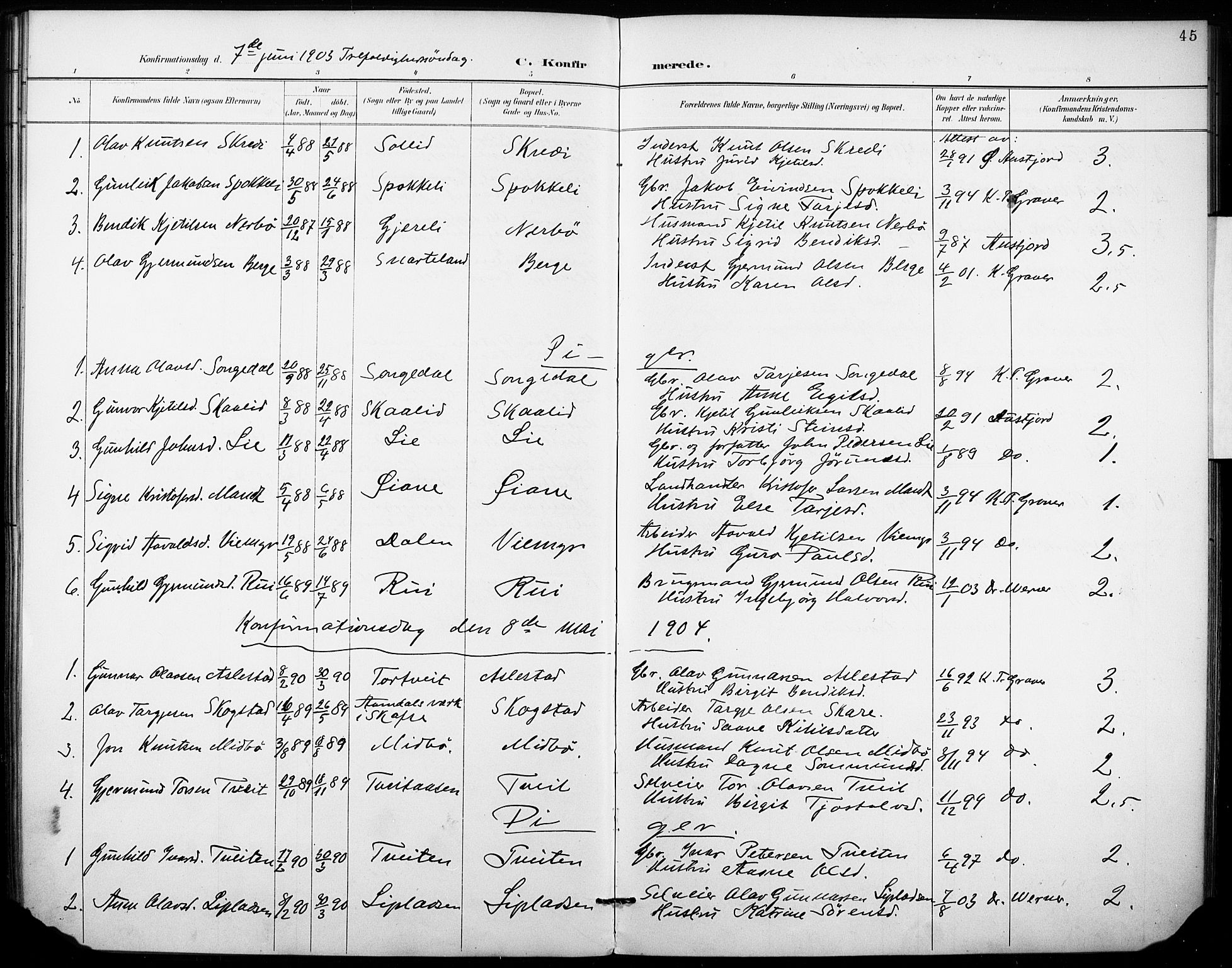 Fyresdal kirkebøker, SAKO/A-263/F/Fb/L0003: Parish register (official) no. II 3, 1887-1903, p. 45