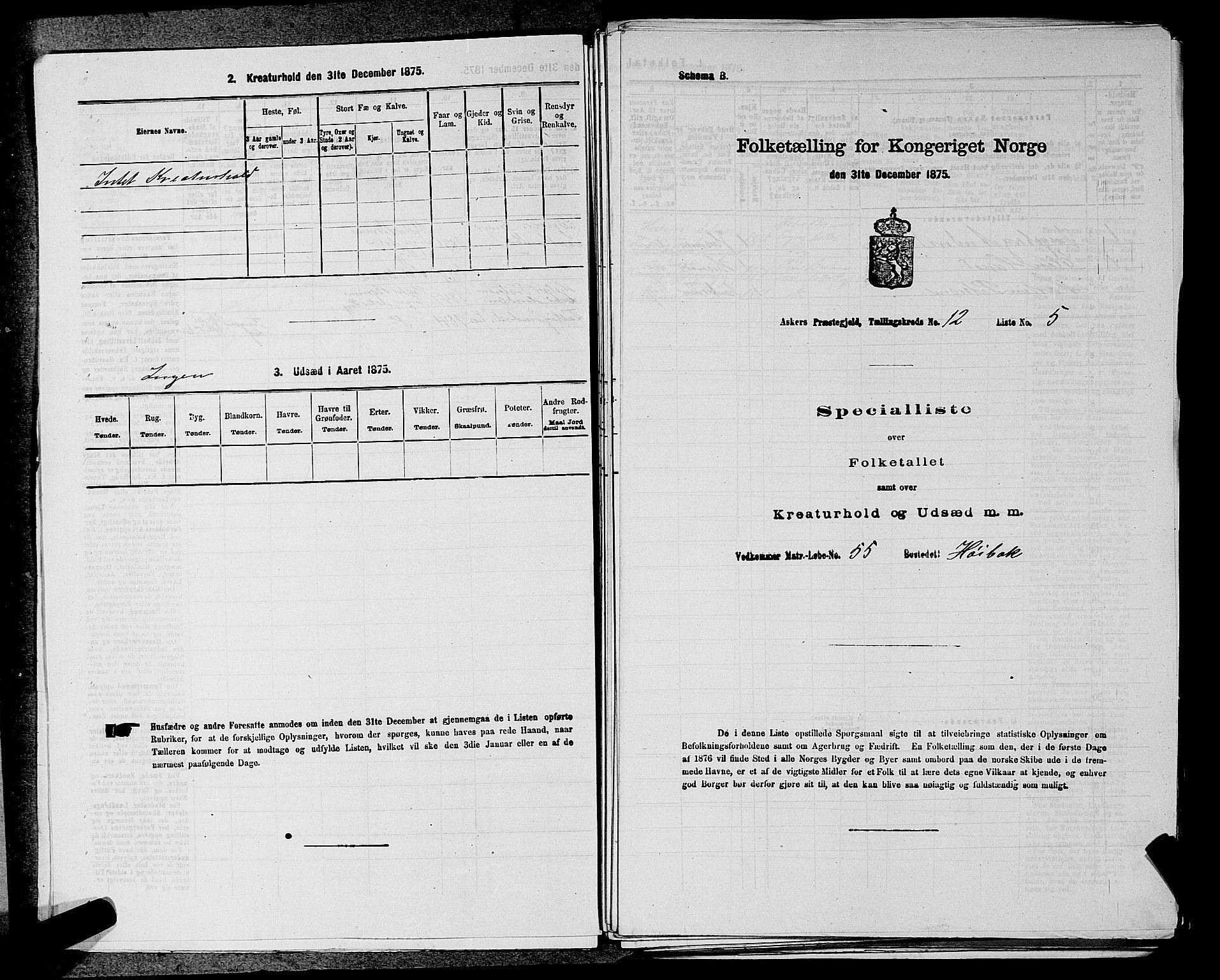 RA, 1875 census for 0220P Asker, 1875, p. 2040