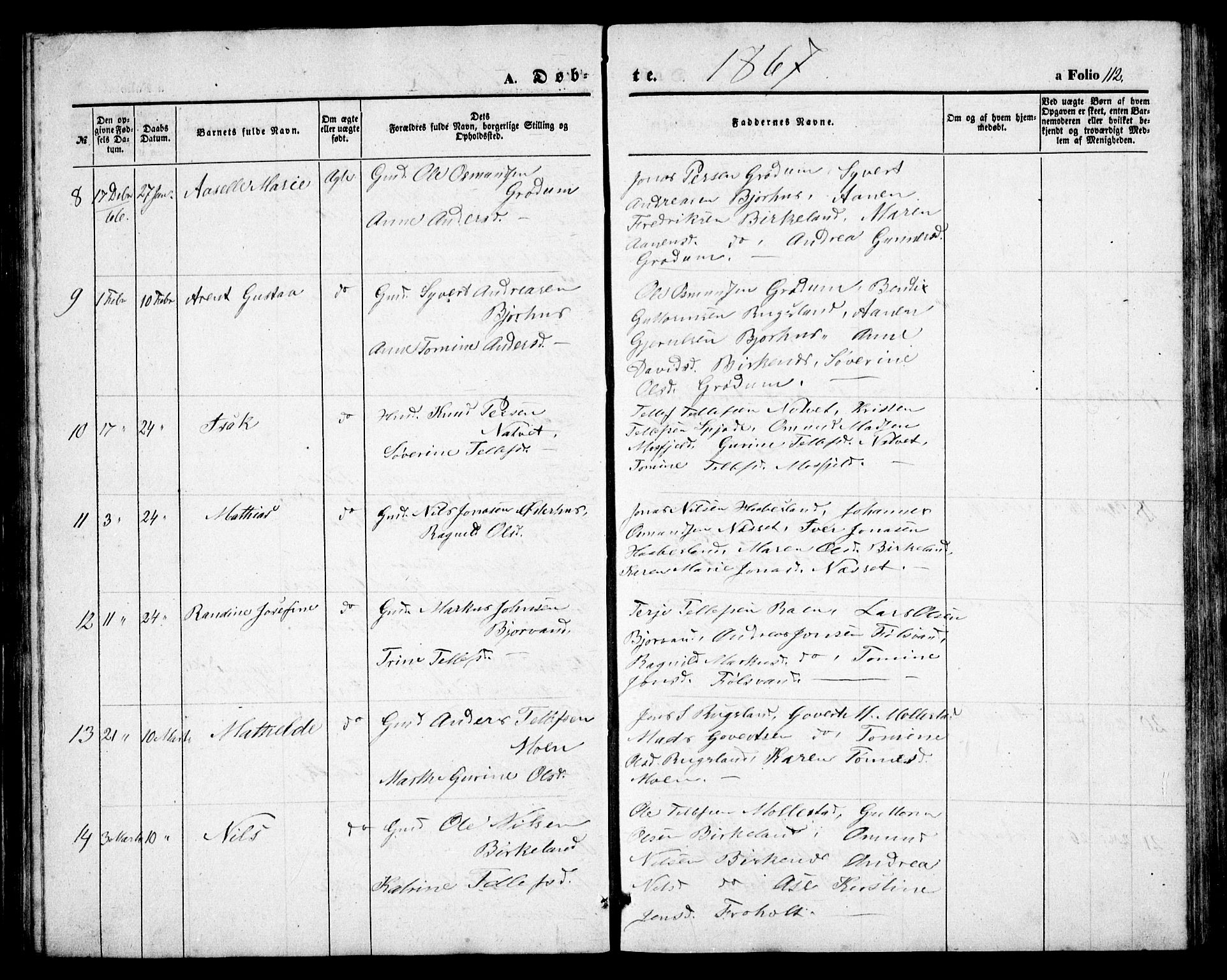 Birkenes sokneprestkontor, AV/SAK-1111-0004/F/Fb/L0002: Parish register (copy) no. B 2, 1849-1876, p. 112