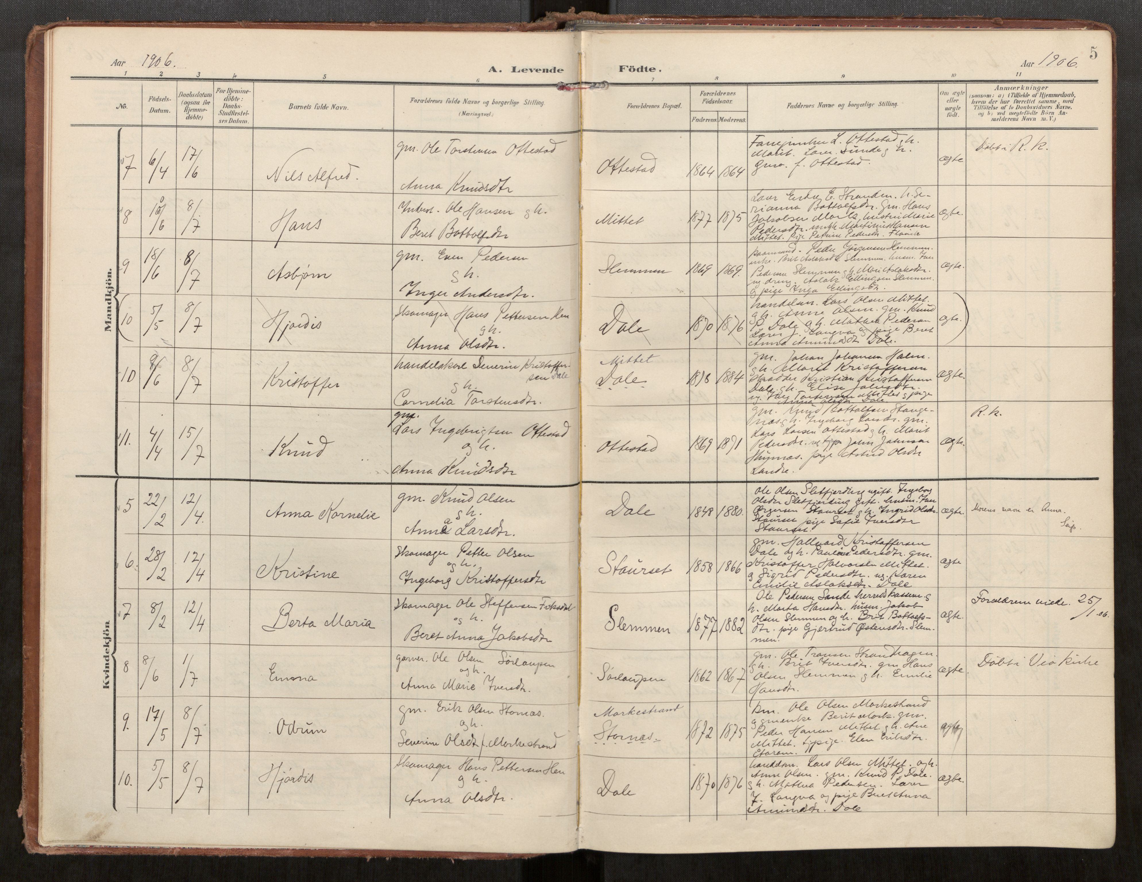 Ministerialprotokoller, klokkerbøker og fødselsregistre - Møre og Romsdal, AV/SAT-A-1454/549/L0618: Parish register (official) no. 549A01, 1906-1927, p. 5