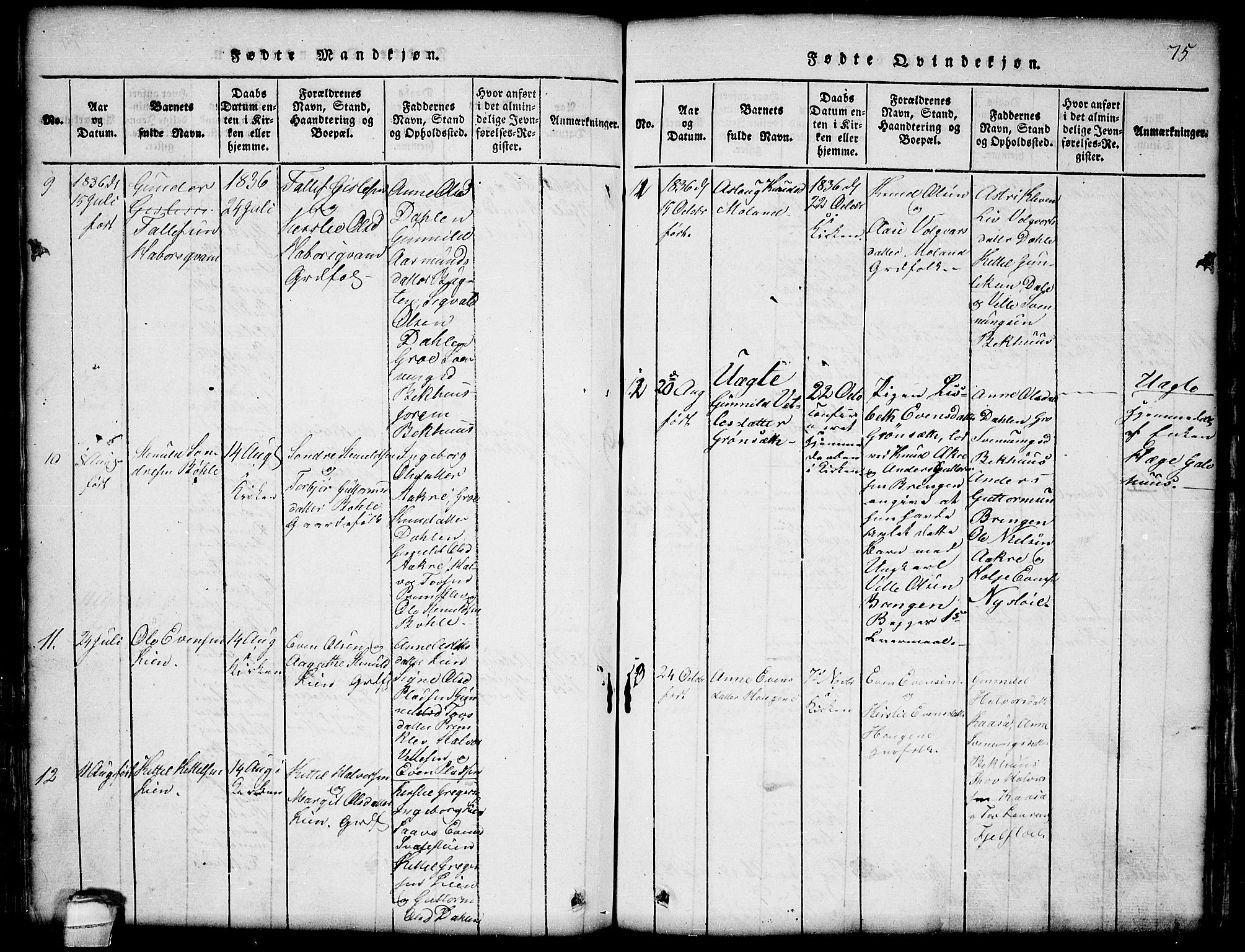 Seljord kirkebøker, AV/SAKO-A-20/G/Gb/L0002: Parish register (copy) no. II 2, 1815-1854, p. 75