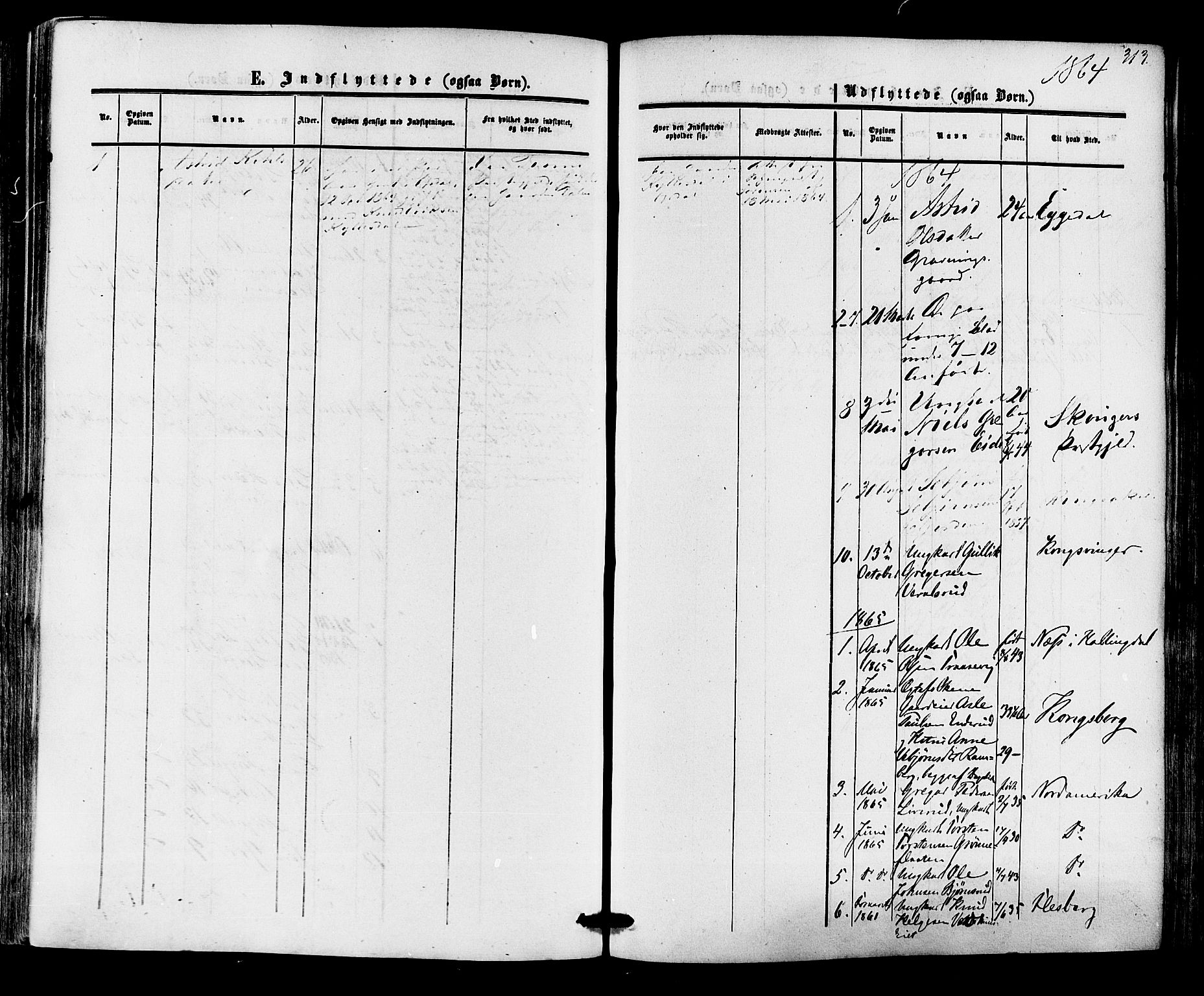 Nore kirkebøker, SAKO/A-238/F/Fa/L0003: Parish register (official) no. I 3, 1858-1866, p. 313