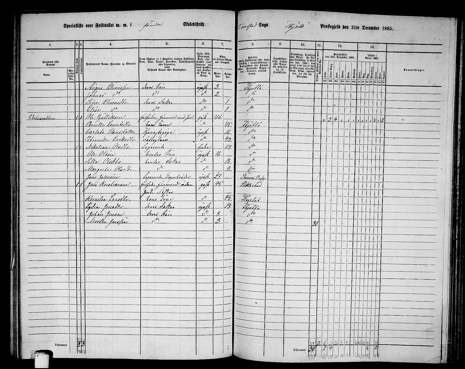 RA, 1865 census for Tjøtta, 1865, p. 101