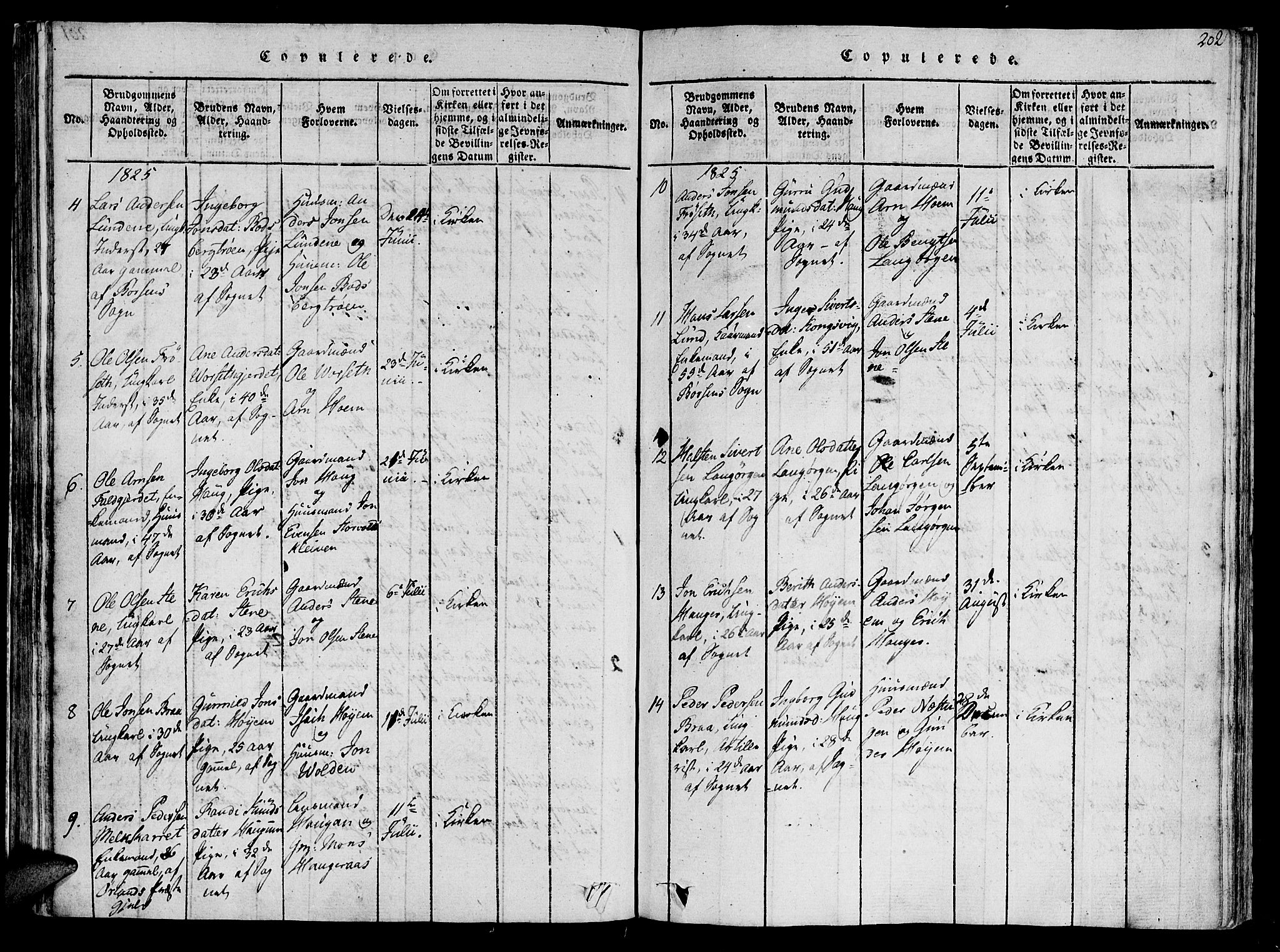 Ministerialprotokoller, klokkerbøker og fødselsregistre - Sør-Trøndelag, SAT/A-1456/612/L0372: Parish register (official) no. 612A06 /1, 1816-1828, p. 202