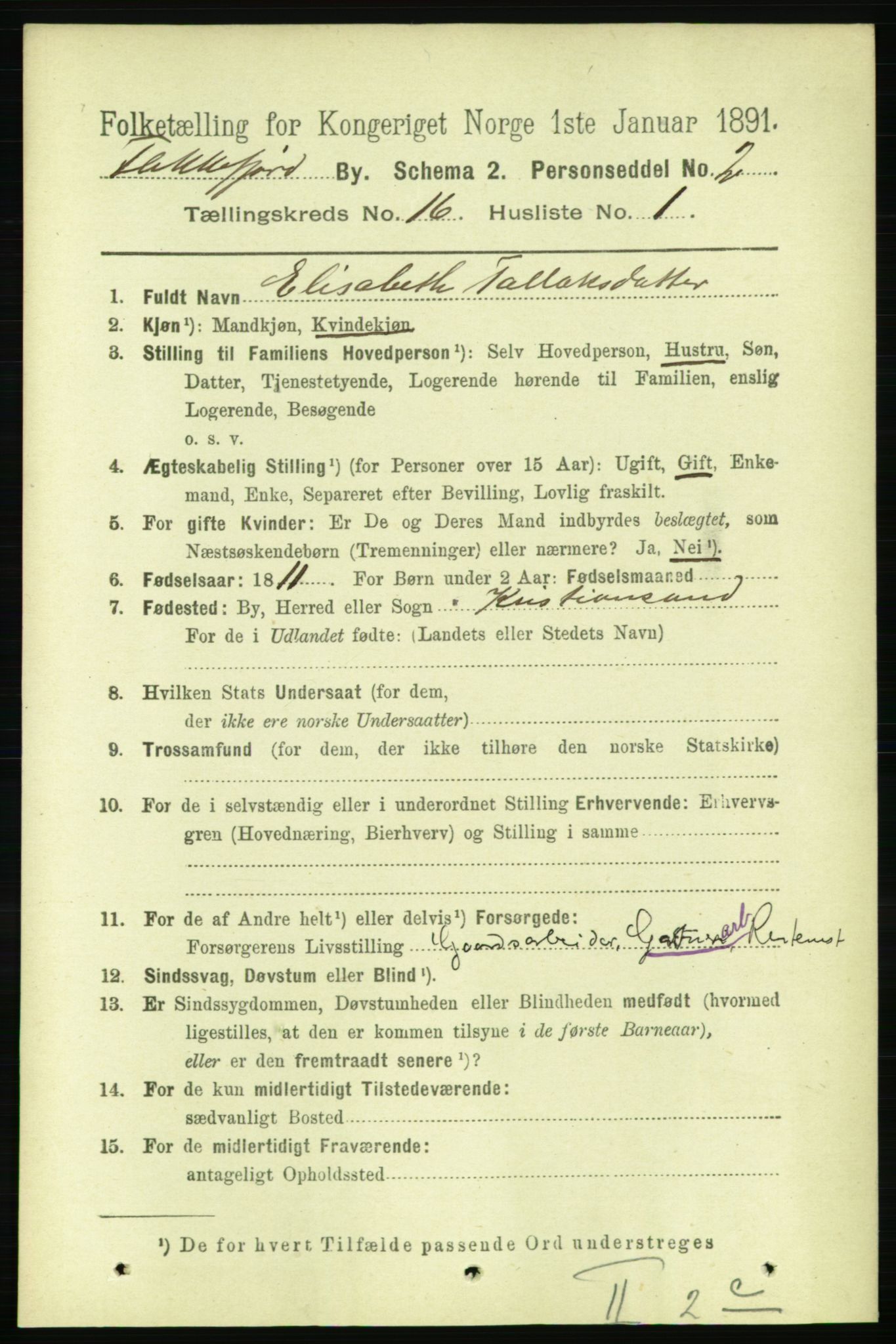 RA, 1891 census for 1004 Flekkefjord, 1891, p. 2002