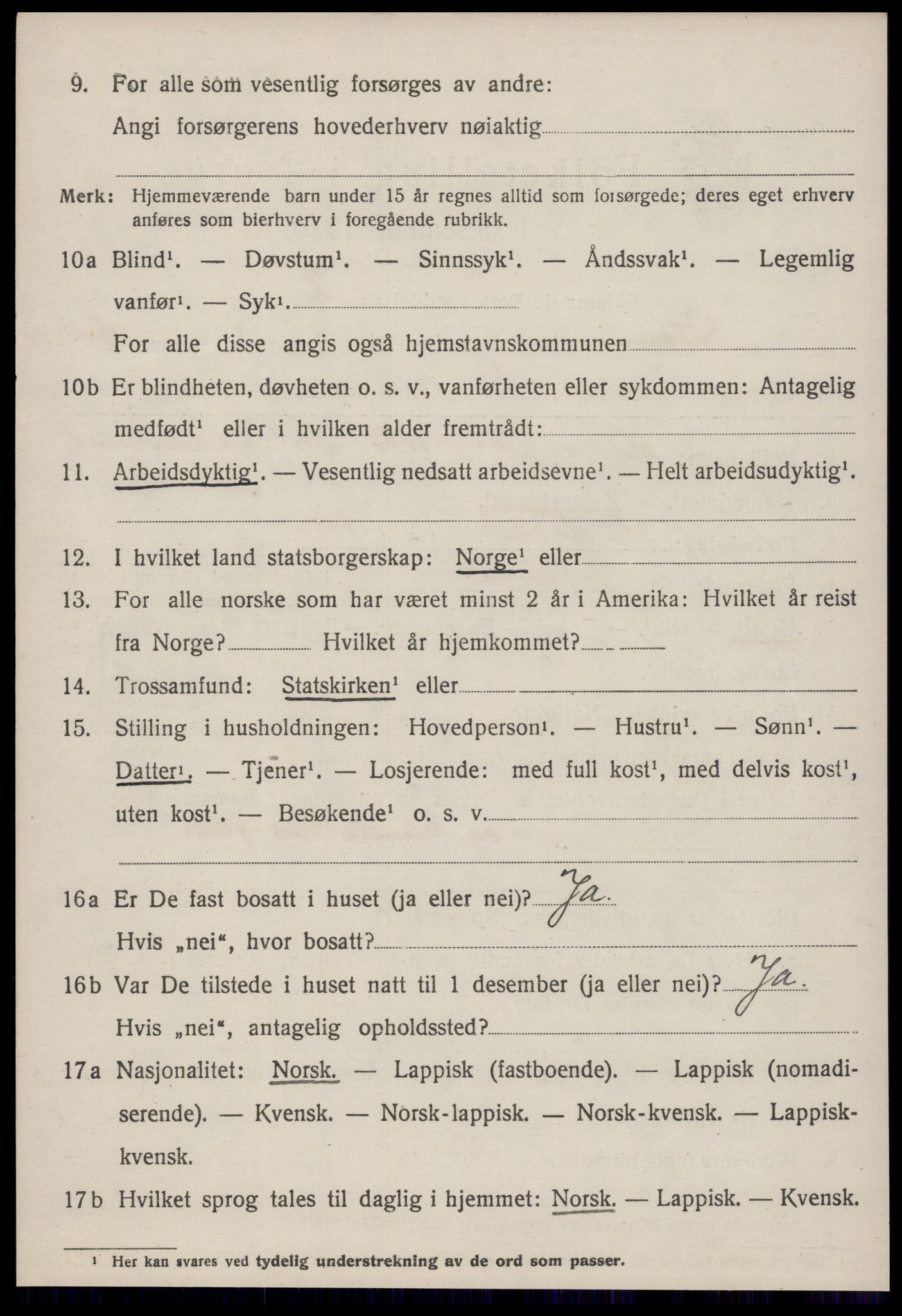 SAT, 1920 census for Støren, 1920, p. 2961