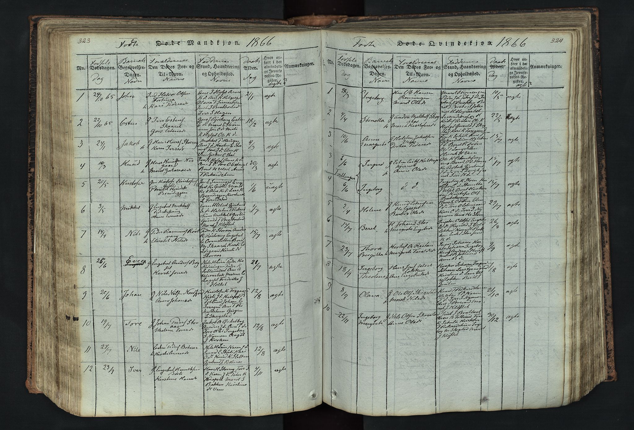 Kvikne prestekontor, SAH/PREST-064/H/Ha/Hab/L0001: Parish register (copy) no. 1, 1815-1895, p. 323-324